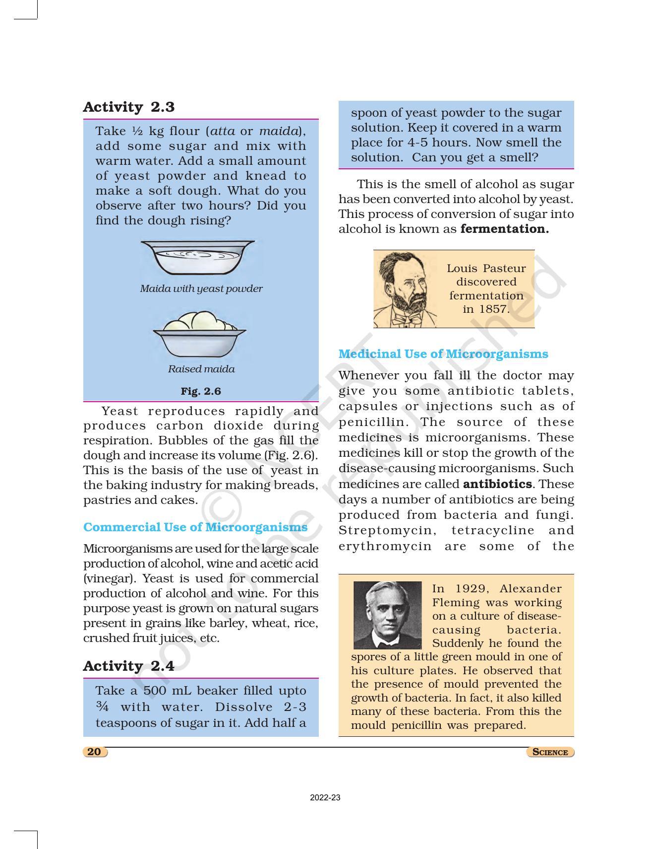 NCERT Book for Class 8 Science Chapter 2 Microorganisms: Friend and Foe - Page 4