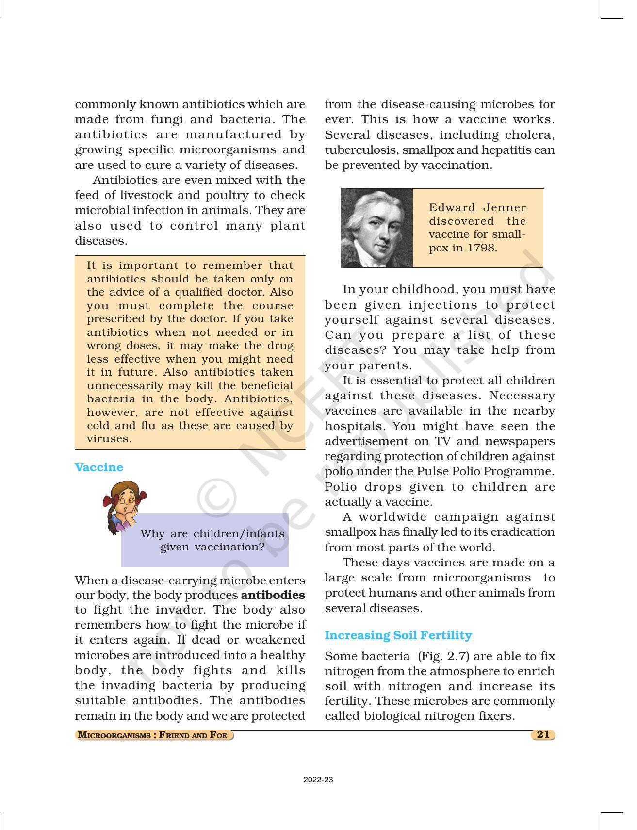 NCERT Book for Class 8 Science Chapter 2 Microorganisms: Friend and Foe - Page 5