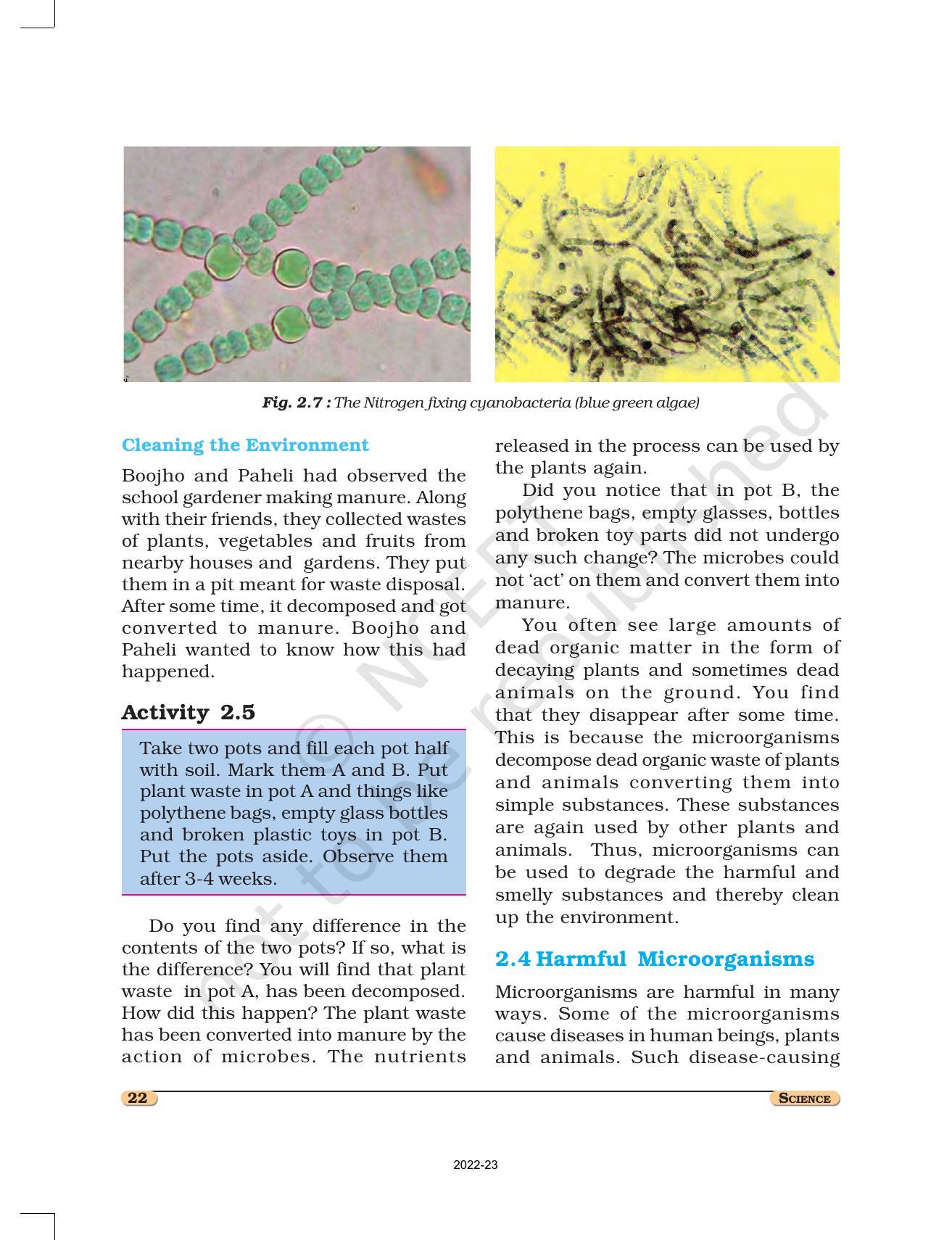 NCERT Book for Class 8 Science Chapter 2 Microorganisms: Friend and Foe - Page 6