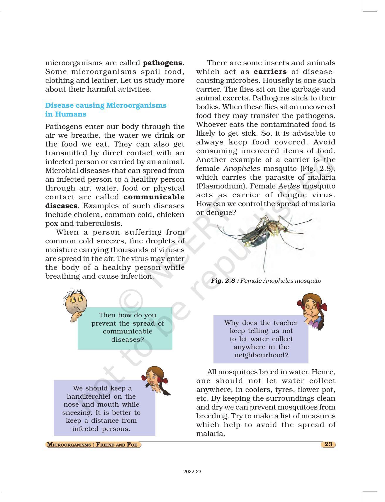 NCERT Book for Class 8 Science Chapter 2 Microorganisms: Friend and Foe - Page 7