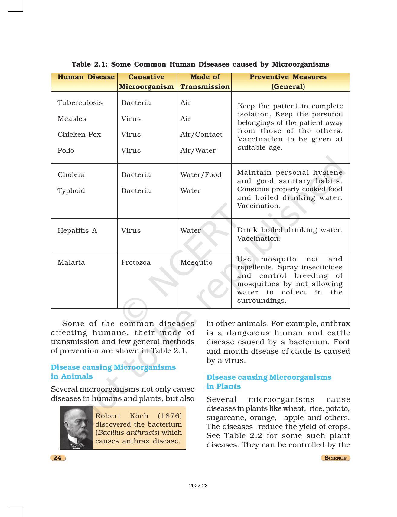 NCERT Book for Class 8 Science Chapter 2 Microorganisms: Friend and Foe - Page 8