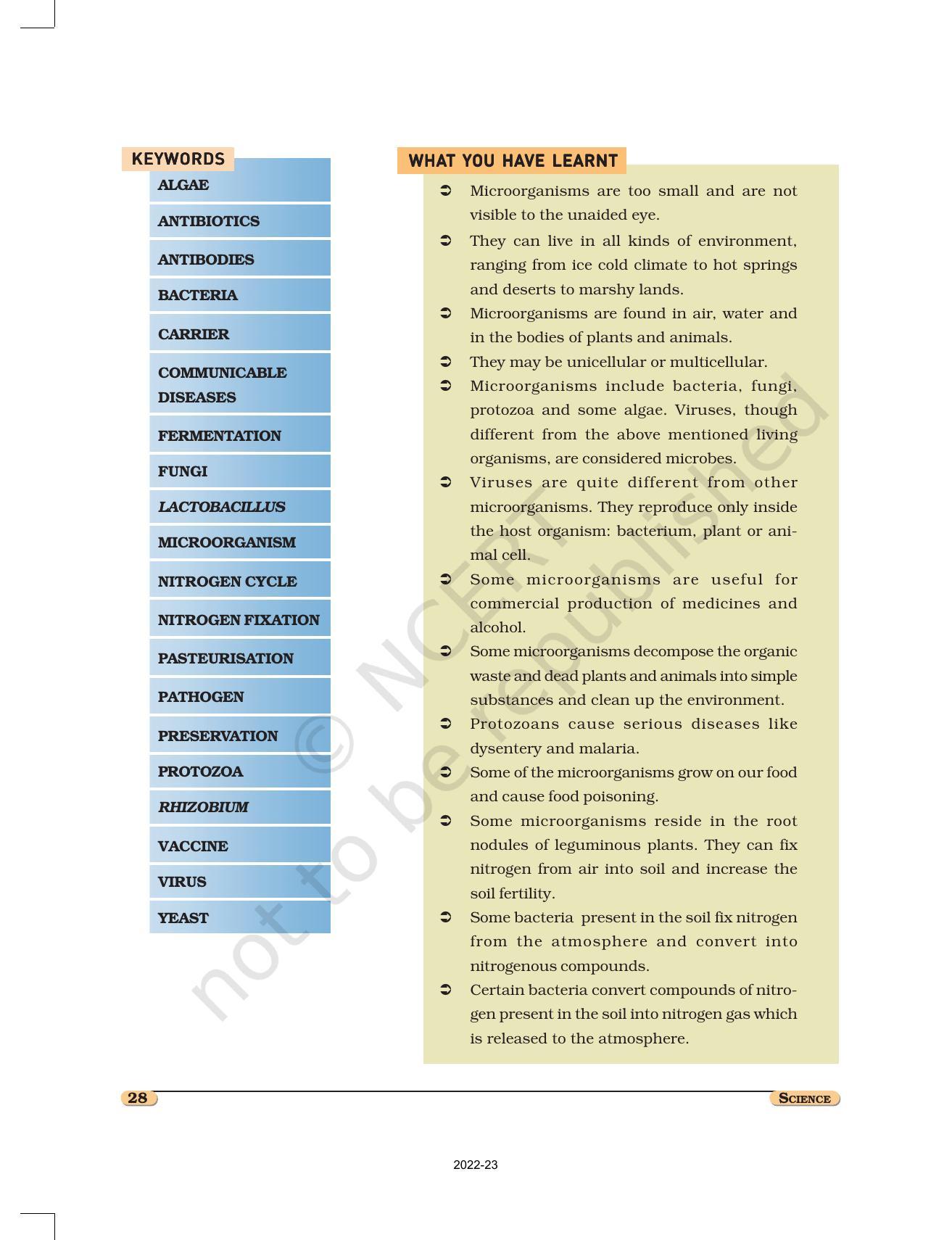 Ncert Book For Class 8 Science Chapter 2 Microorganisms
