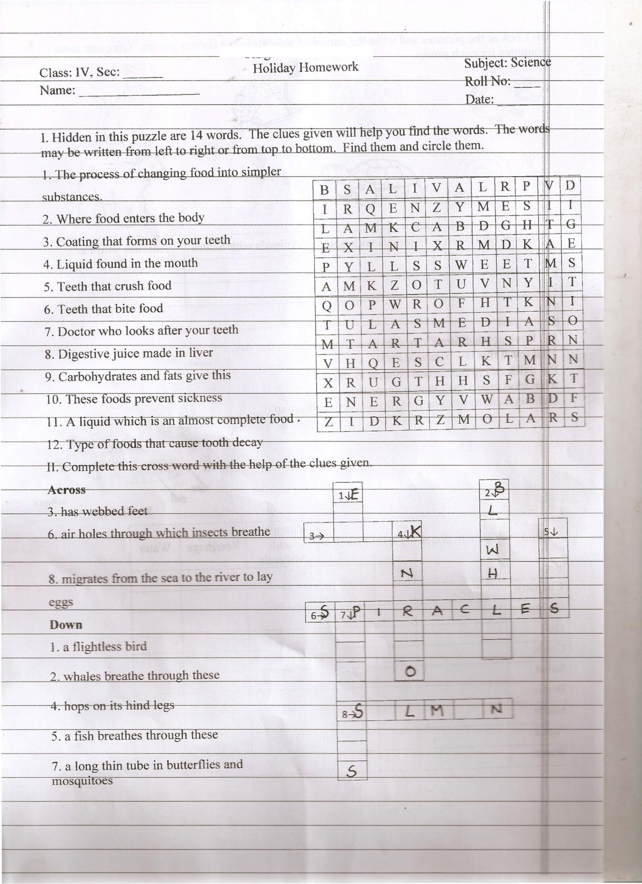 Worksheet for Class 4 Science Assignment 7 - Page 1