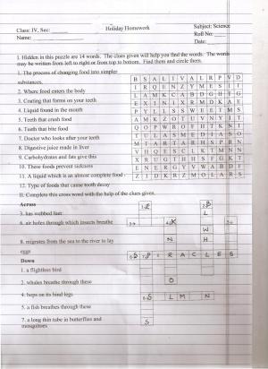 Worksheet for Class 4 Science Assignment 7