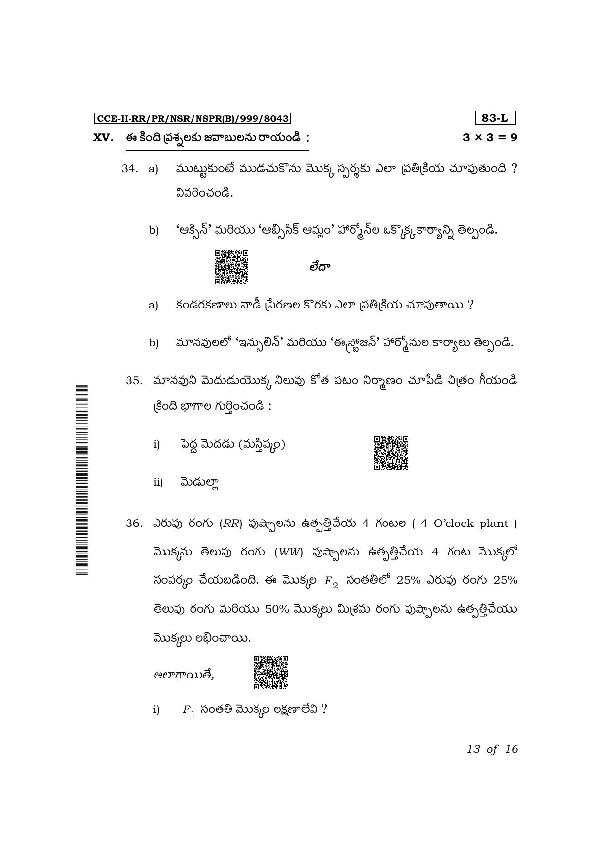 Karnataka SSLC Science (Telugu Medium) Exam 2 Question Paper 2024 (B Version) - Page 13