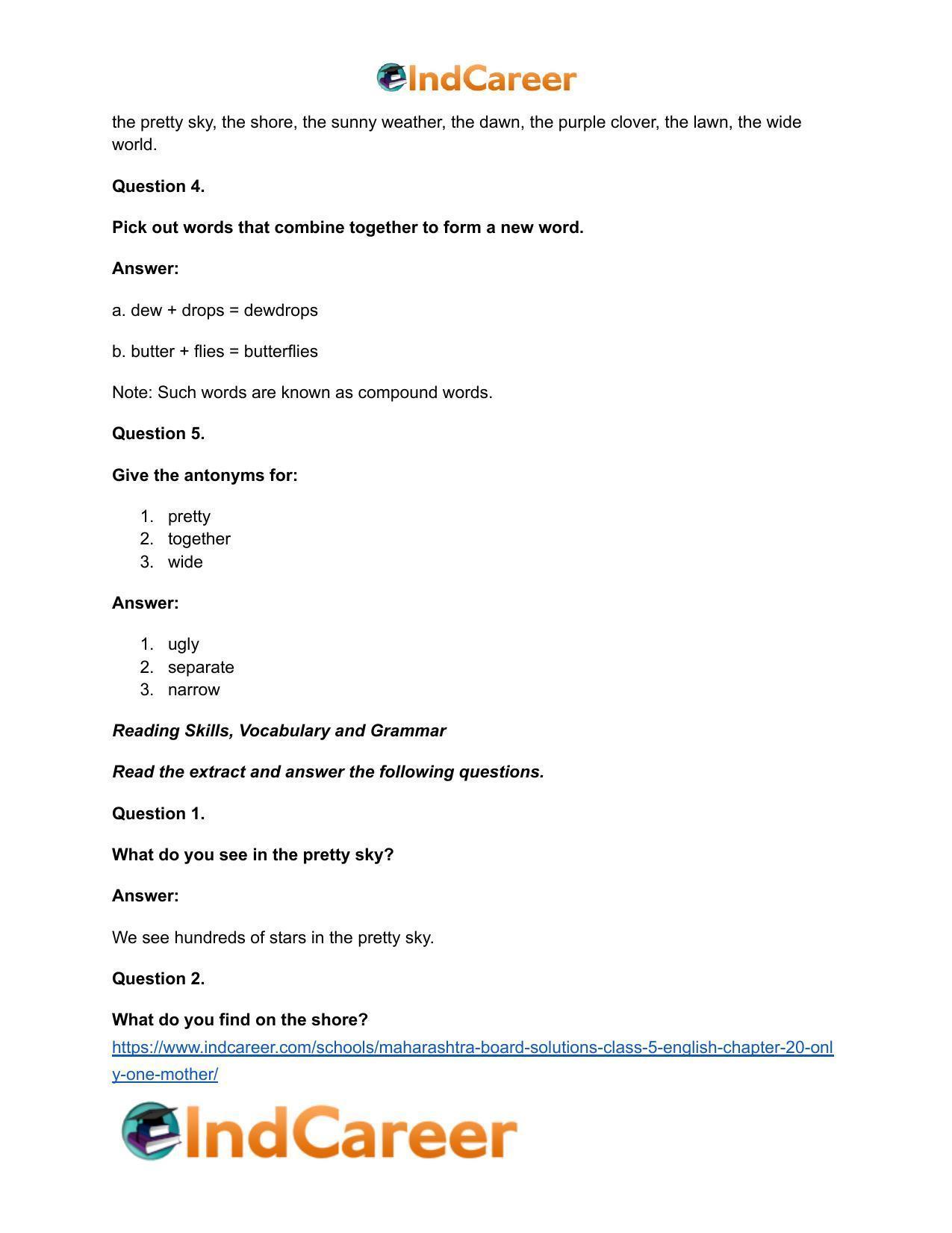 Maharashtra Board Solutions Class 5-English: Chapter 20- Only One Mother - Page 7