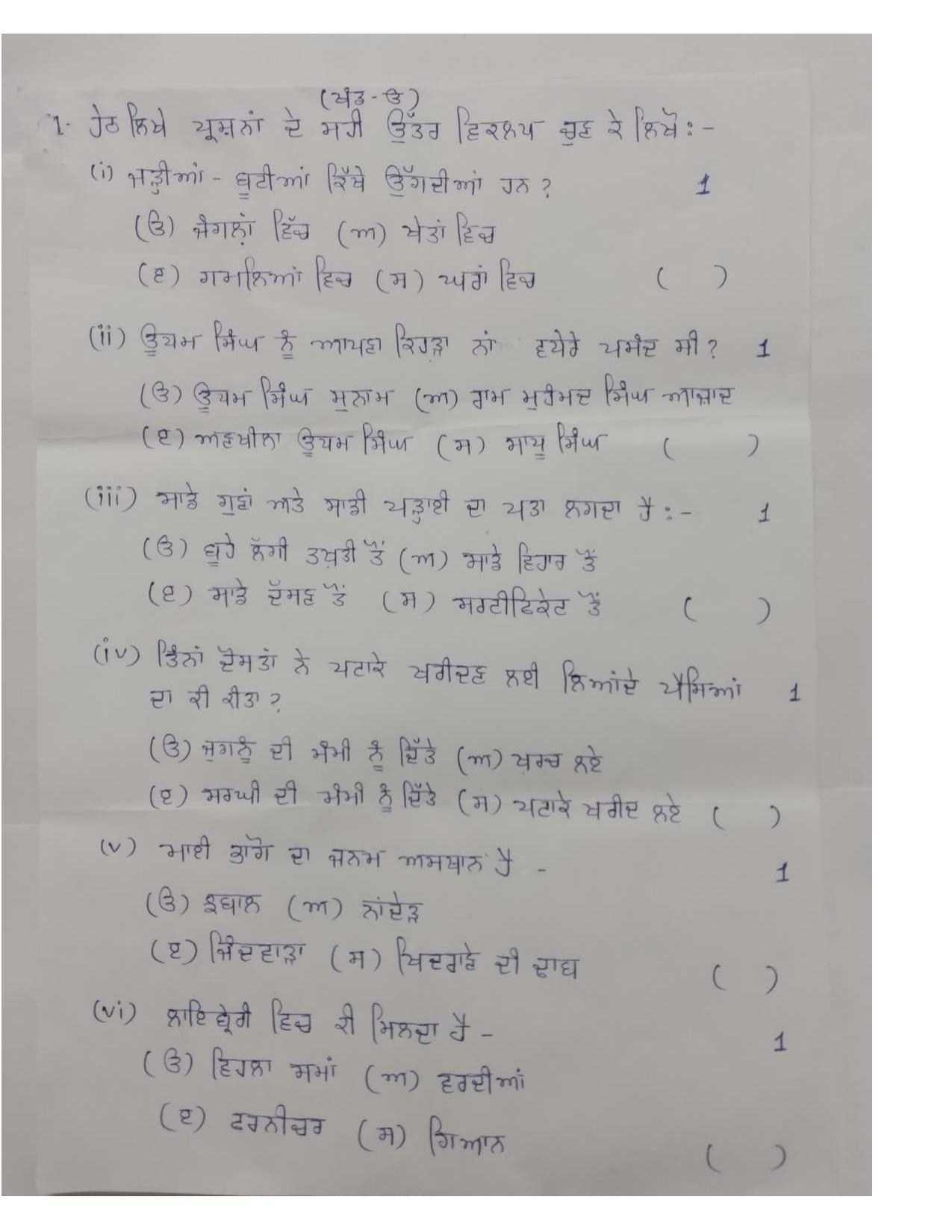 RBSE Class 8 2024 Punjabi Sample Paper - Page 2