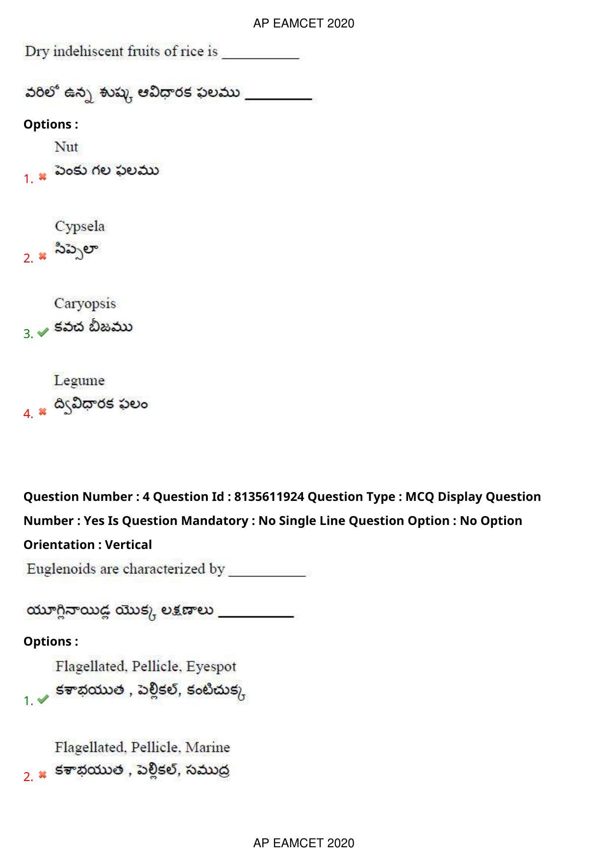 TS EAMCET 2020 Agriculture and Medical Question Paper with Key (25 Sep.2020 Forenoon) - Page 4
