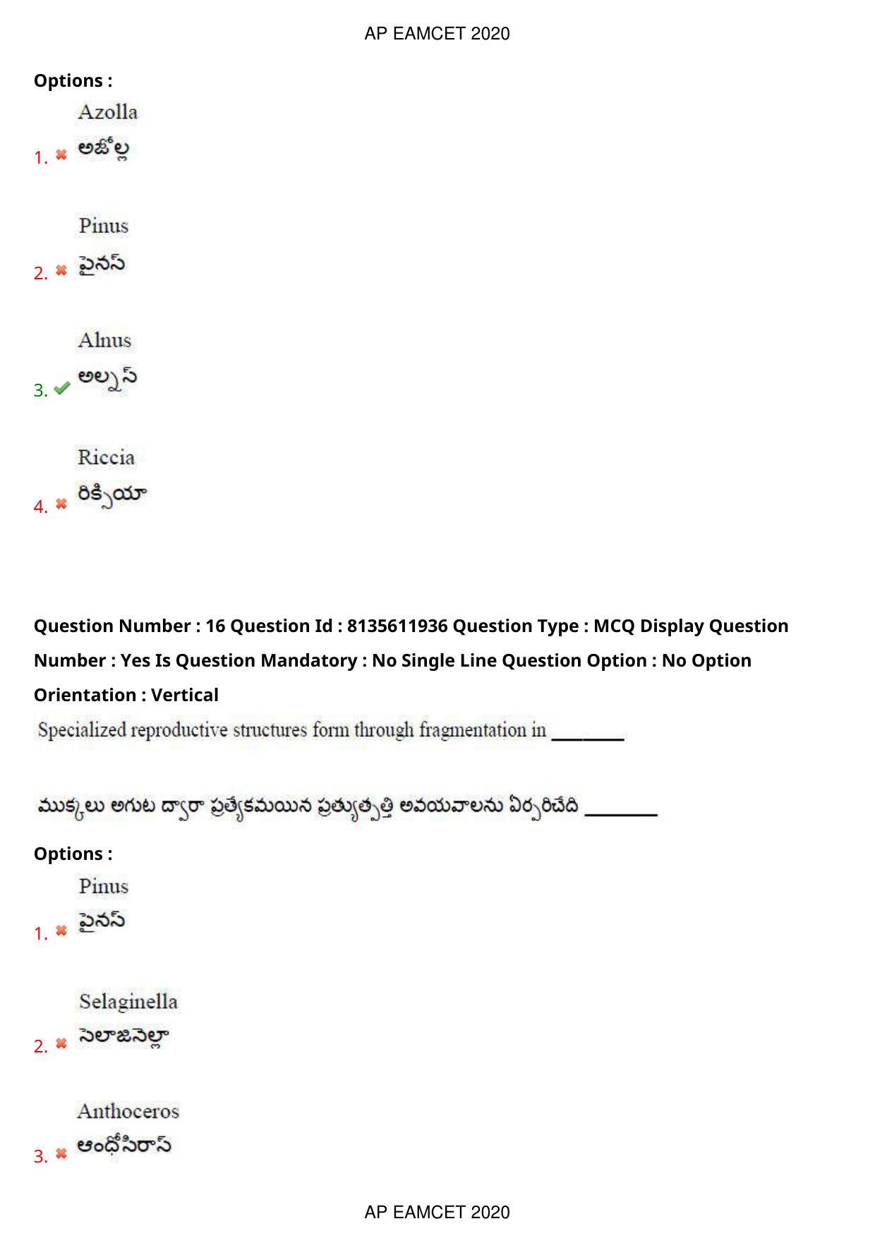 TS EAMCET 2020 Agriculture and Medical Question Paper with Key (25 Sep.2020 Forenoon) - Page 13