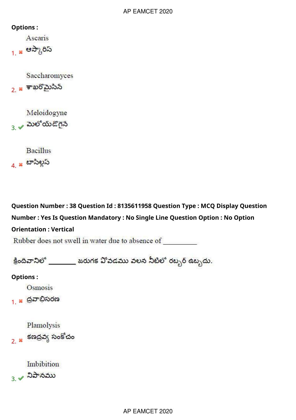 TS EAMCET 2020 Agriculture and Medical Question Paper with Key (25 Sep.2020 Forenoon) - Page 29