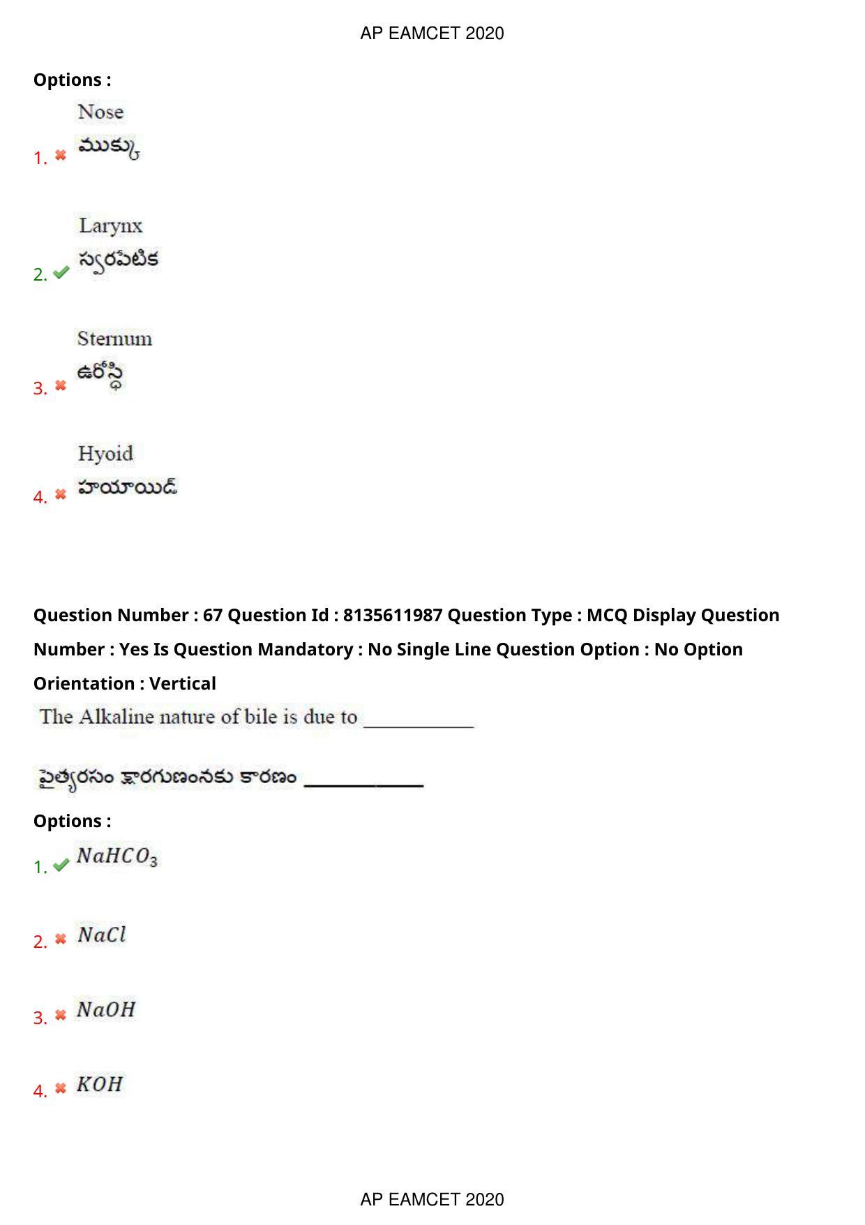 TS EAMCET 2020 Agriculture and Medical Question Paper with Key (25 Sep.2020 Forenoon) - Page 52