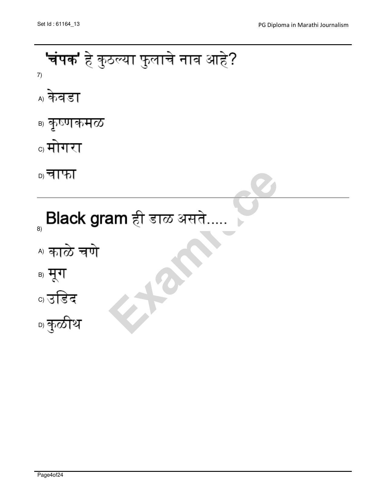IIMC Journalism (PG Diploma) 2020 Marathi Question Paper - Page 4