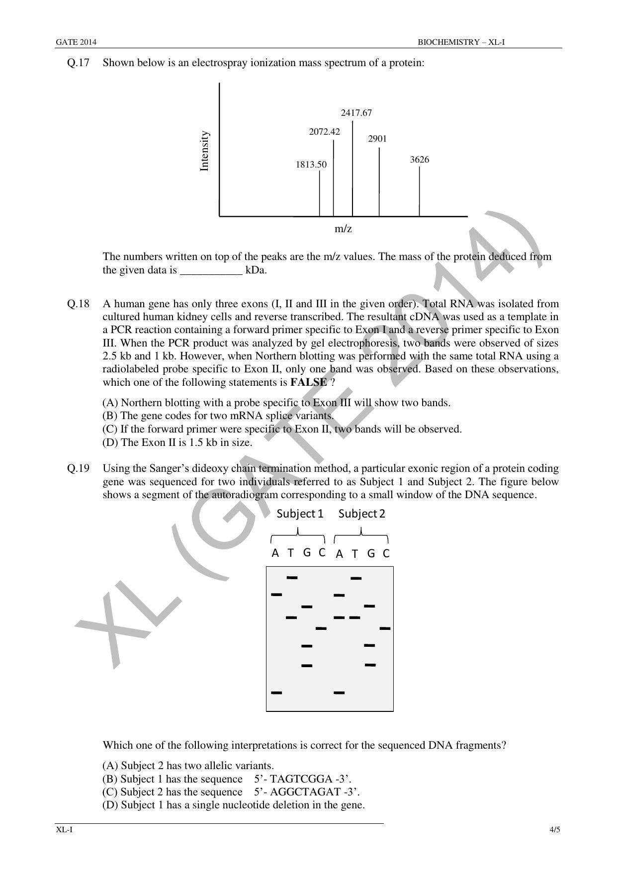 GATE 2014 Life Sciences (XL) Question Paper with Answer Key - Page 13
