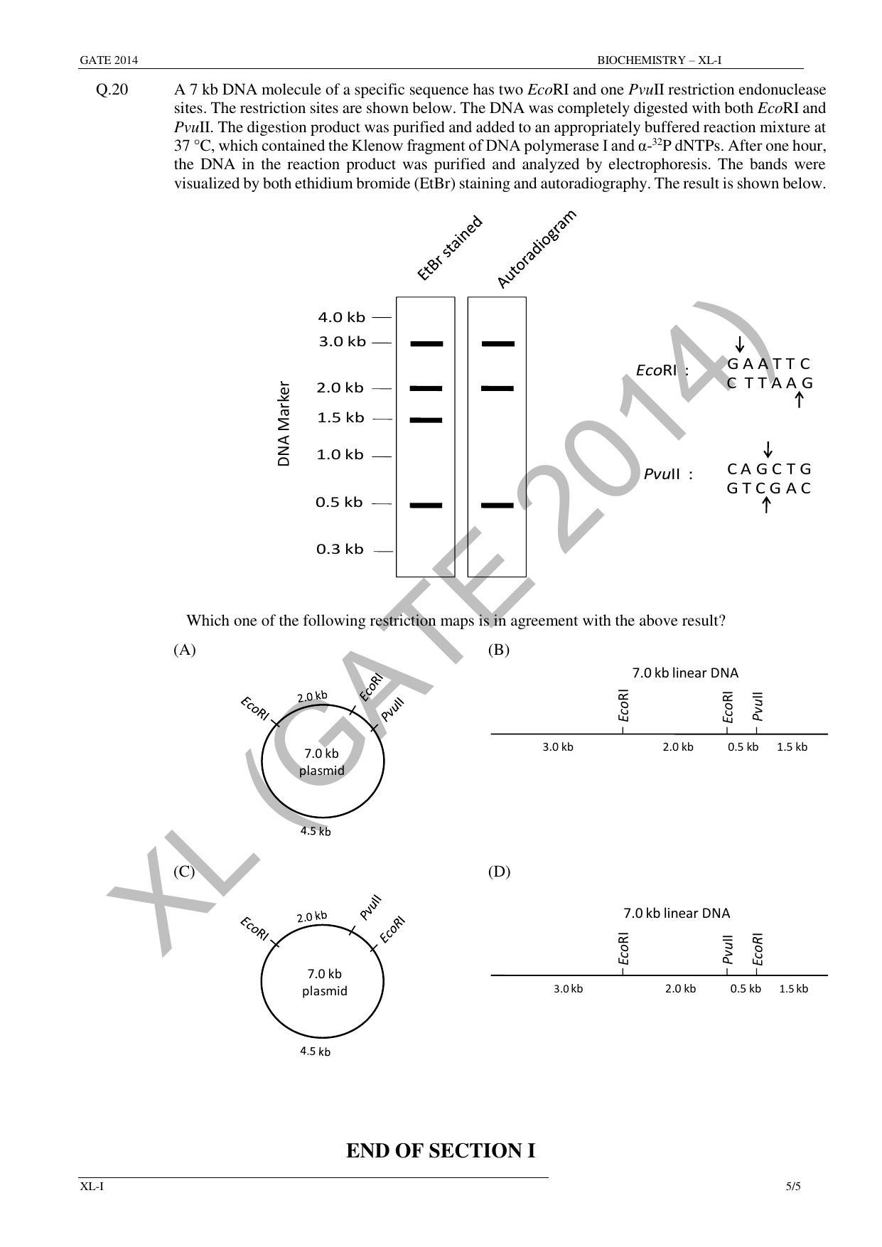 GATE 2014 Life Sciences (XL) Question Paper with Answer Key - Page 14