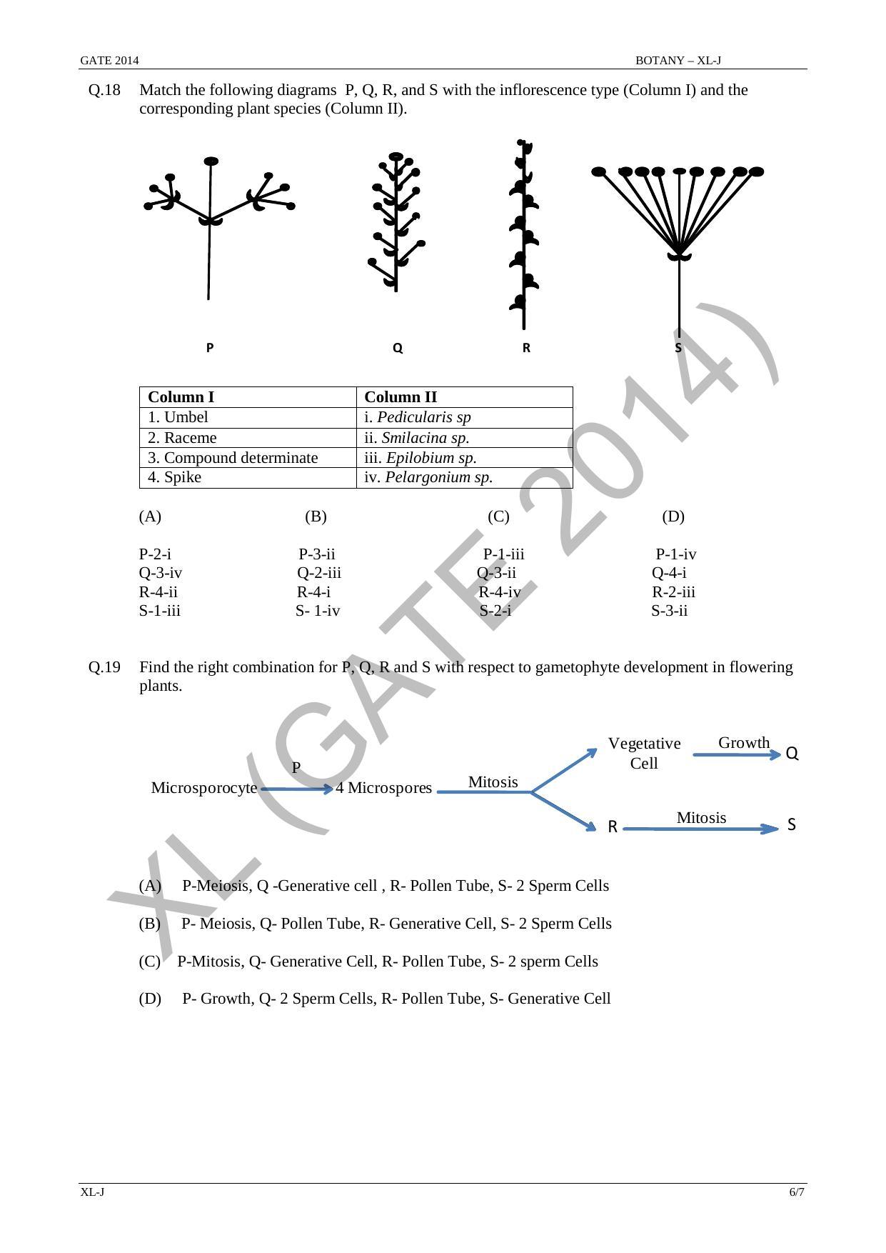 GATE 2014 Life Sciences (XL) Question Paper with Answer Key - Page 20