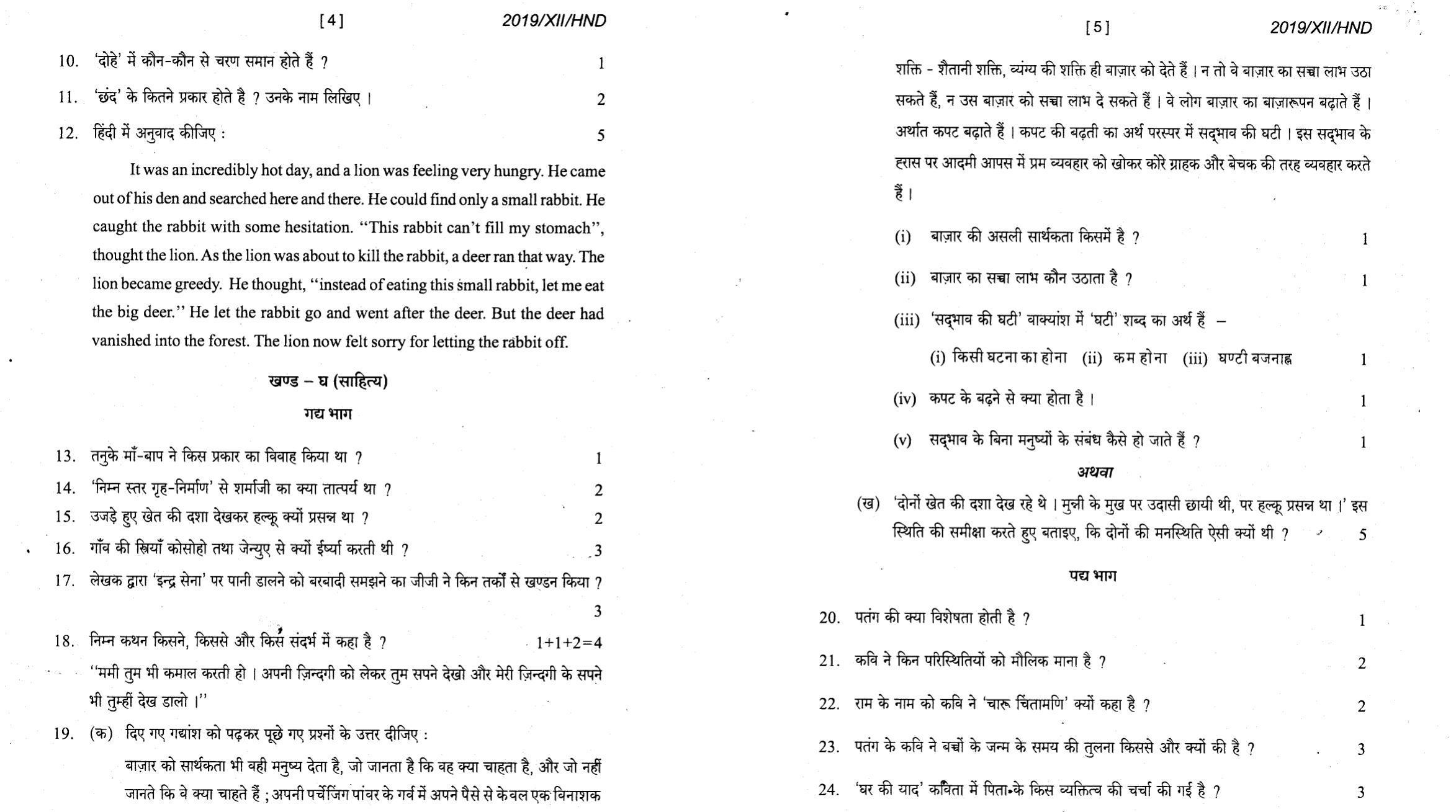 Nagaland Board Class 12 Hindi 2019 Question Papers - Page 3