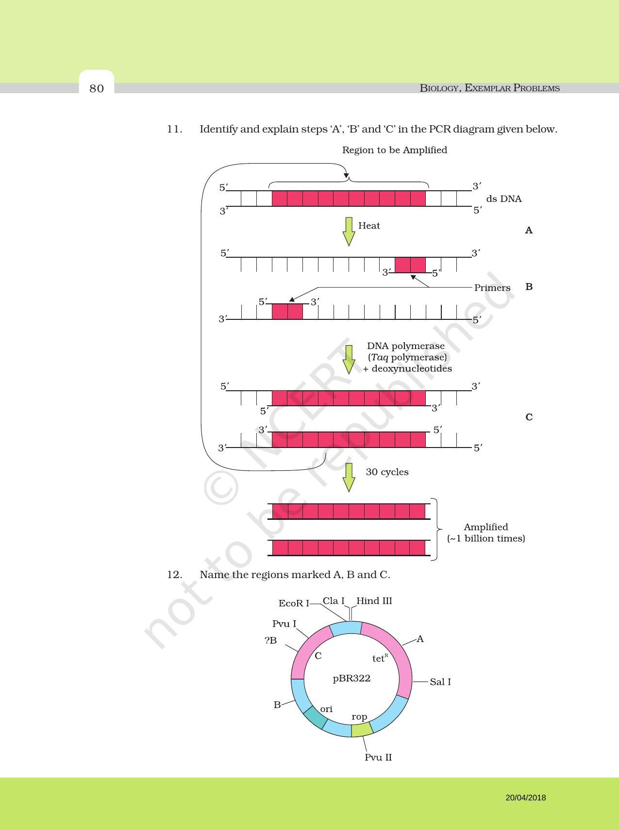 NCERT Exemplar Book for Class 12 Biology: Chapter 11 Biotechnology: Principles and Processes - Page 6