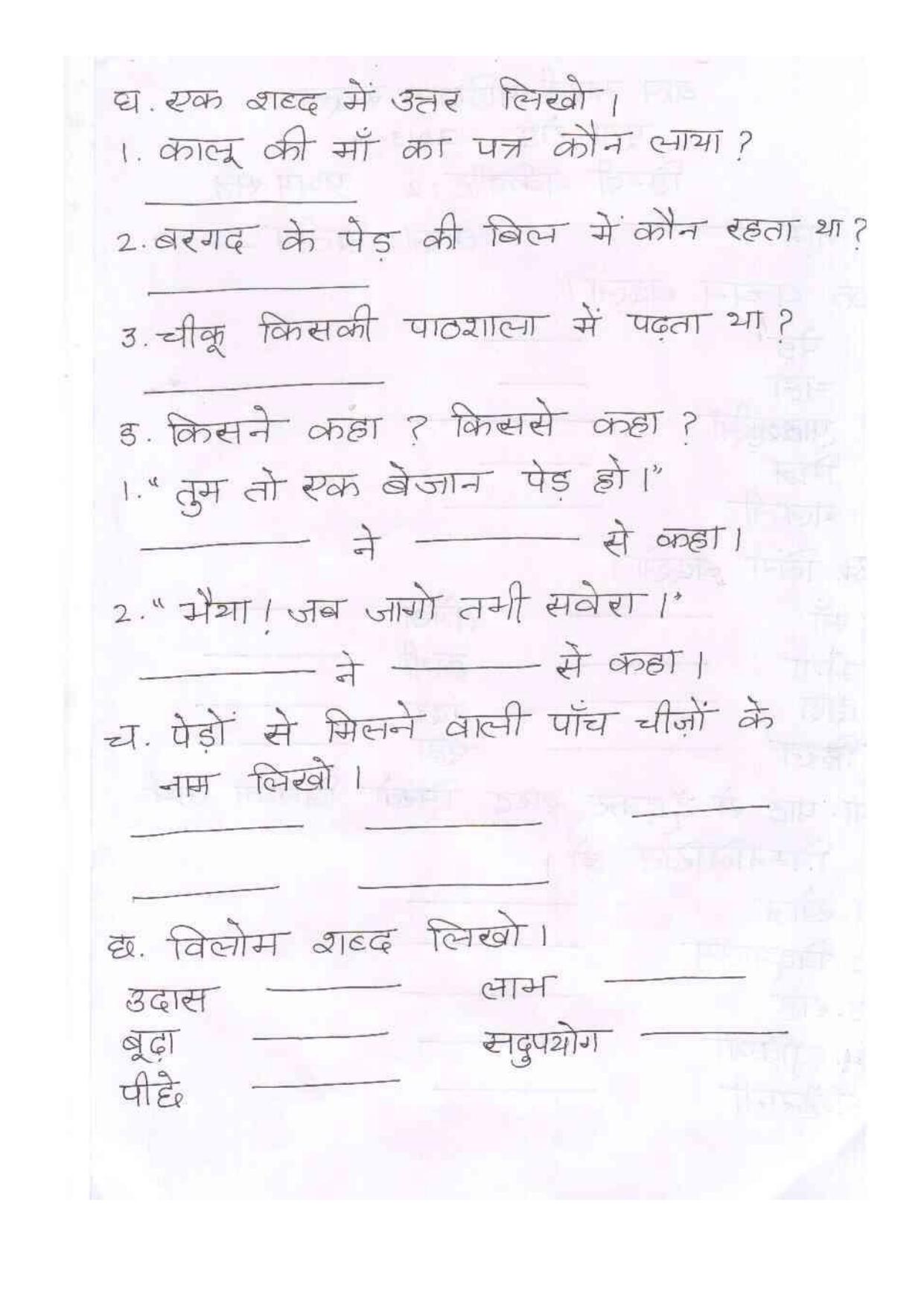 Worksheets for Class 2 Hindi Assignment 3 - Page 2