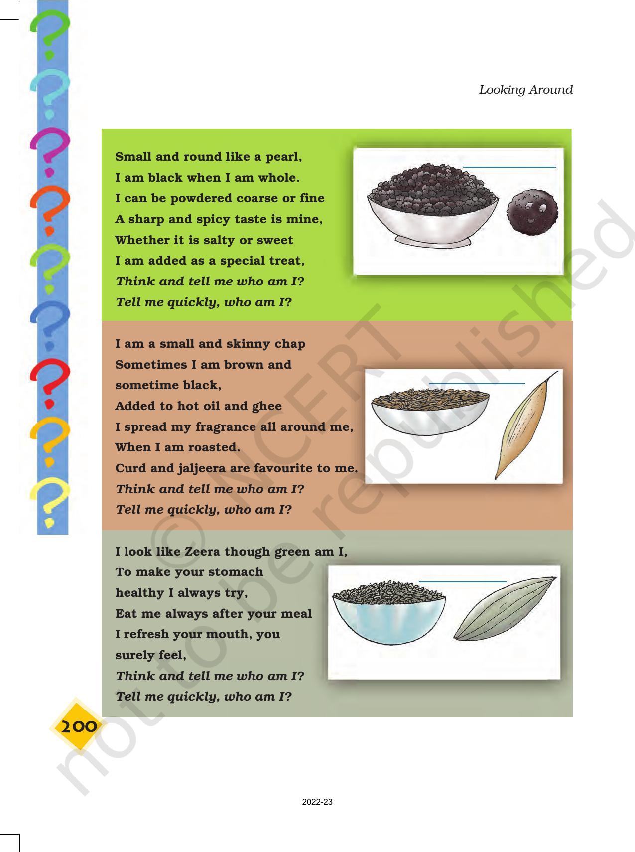 NCERT Book for Class 4 EVS Chapter 25 Spicy Riddles - Page 2