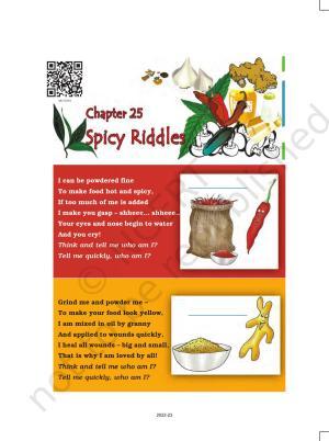 NCERT Book for Class 4 EVS Chapter 25 Spicy Riddles