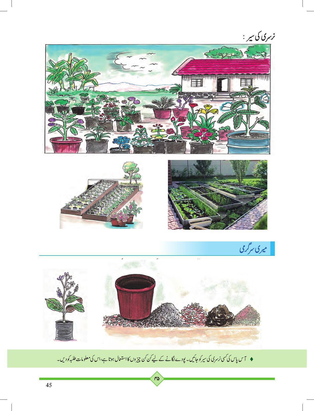 Maharashtra Board Class 2 Play To Learn (Urdu Medium) Textbook - Page 55