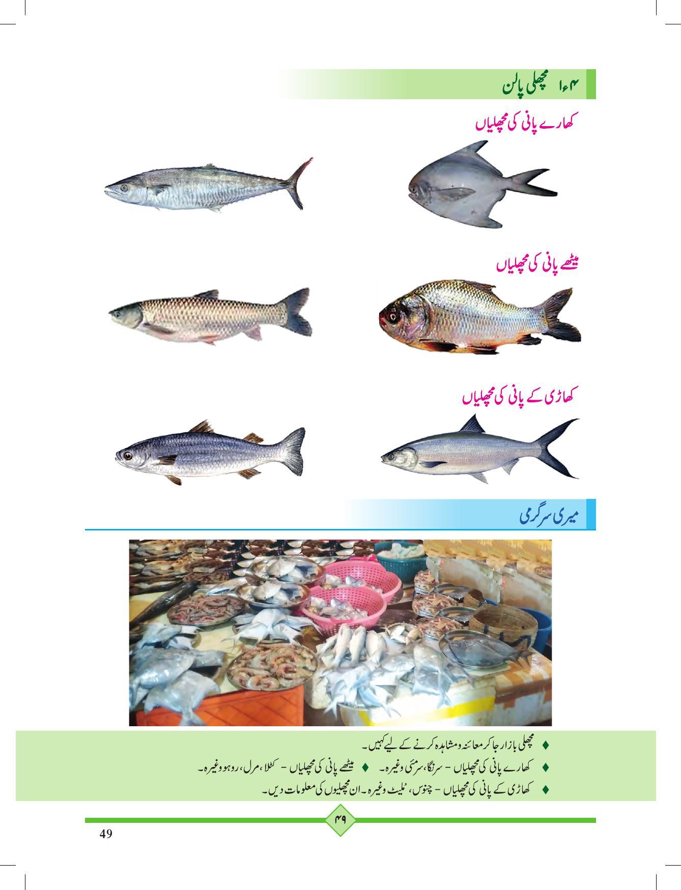 Maharashtra Board Class 2 Play To Learn (Urdu Medium) Textbook - Page 59