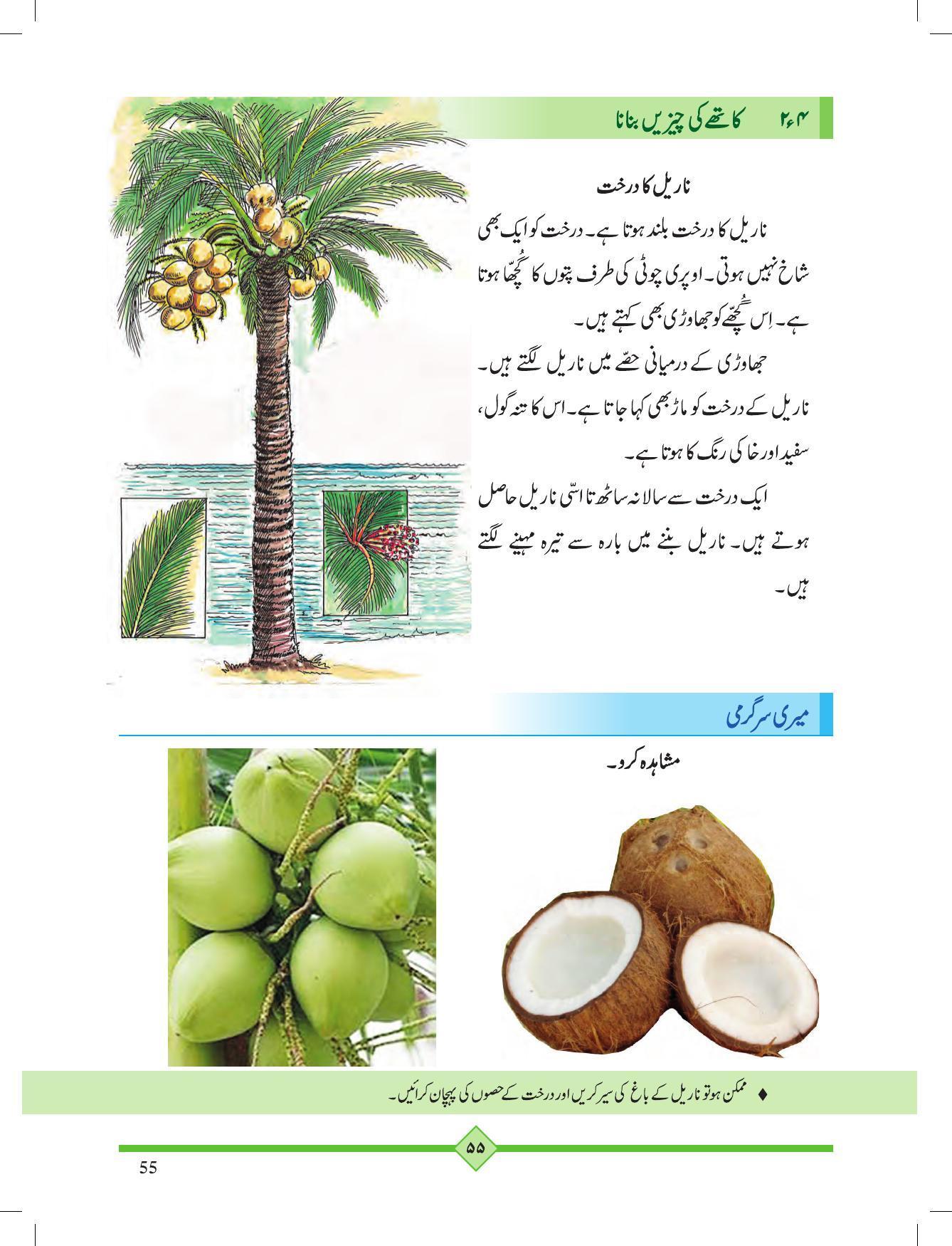 Maharashtra Board Class 2 Play To Learn (Urdu Medium) Textbook - Page 65