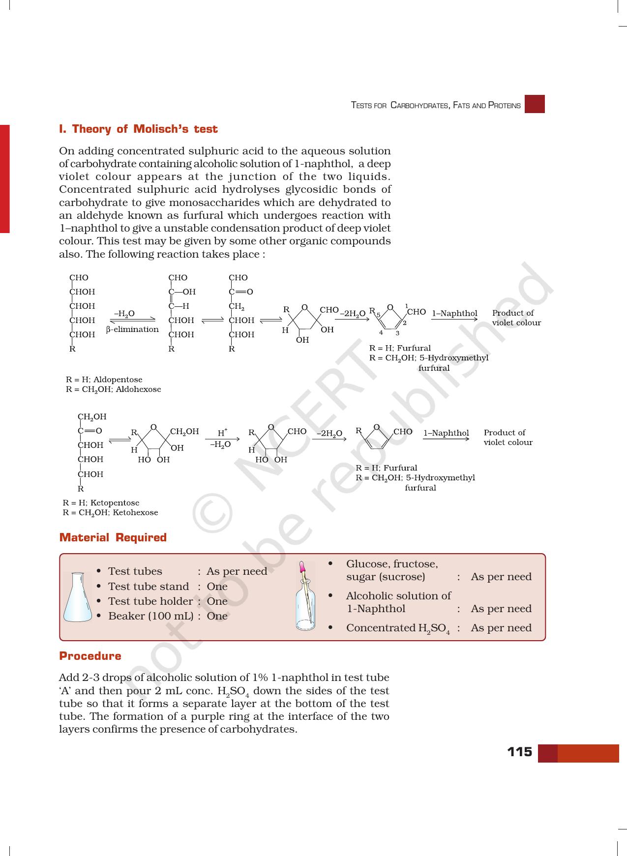NCERT Laboratory Manuals for Class XII Chemistry - Unit 11 (Tests for Carbohydrates, Fats and Proteins) - Page 2