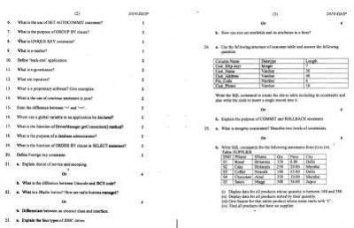 Nagaland Board Class 12 Informatics Practices 2019 Question Papers - Page 2