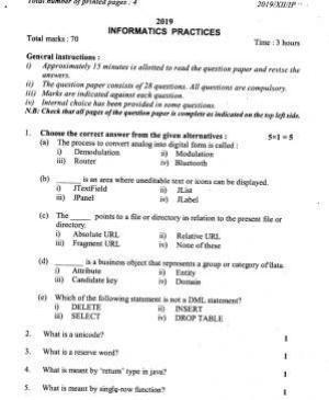 Nagaland Board Class 12 Informatics Practices 2019 Question Papers