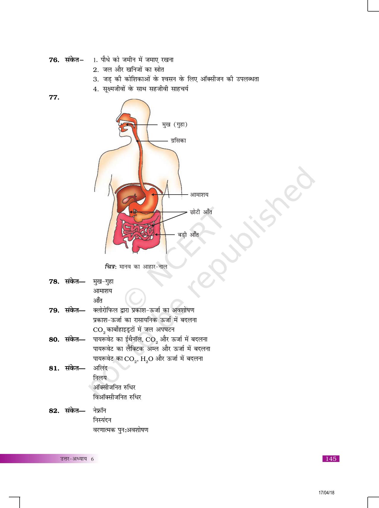 NCERT Exemplar Class 10: विज्ञान उत्तरमाला - Page 29