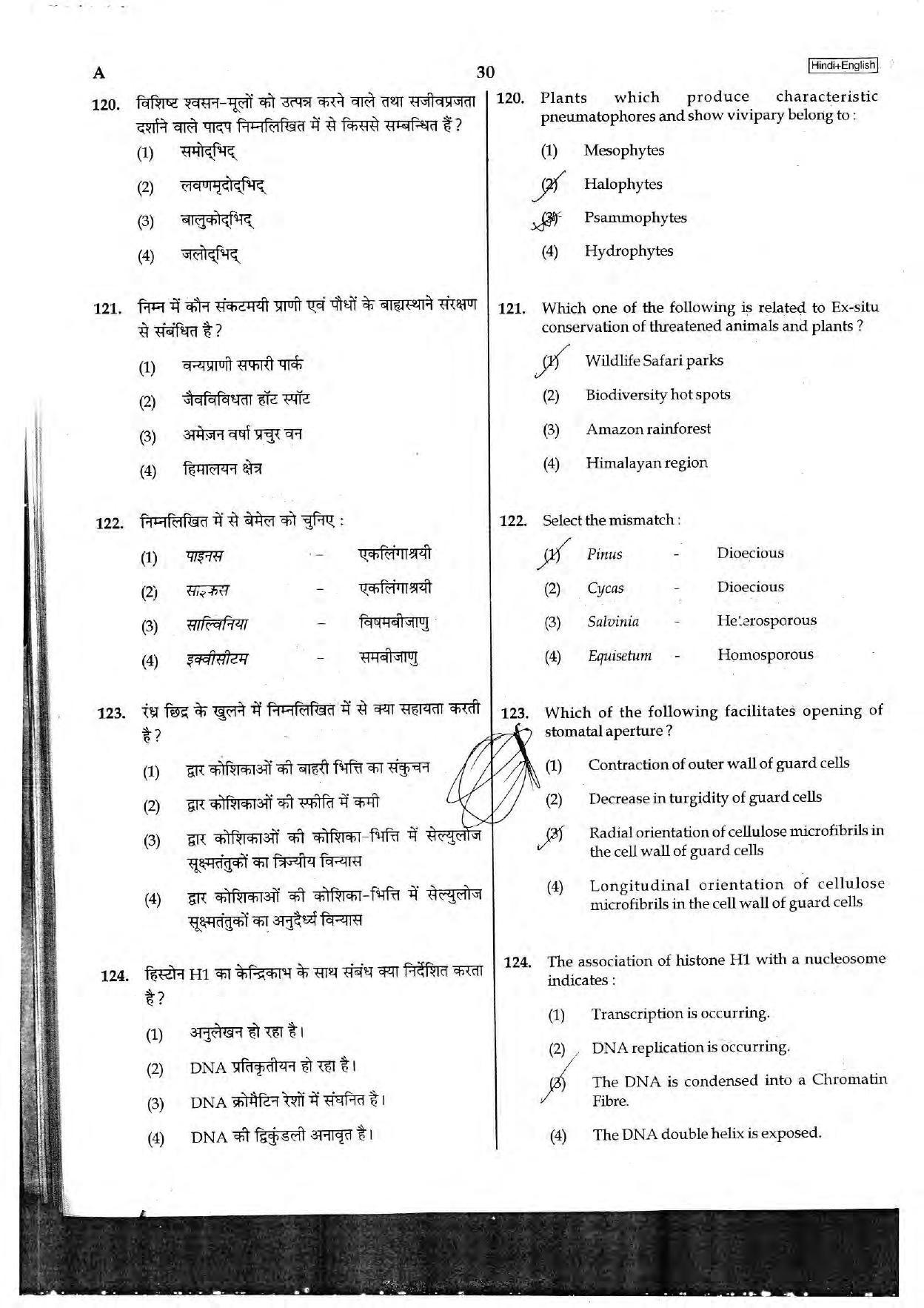NEET Code A 2017 Question Paper - Page 30