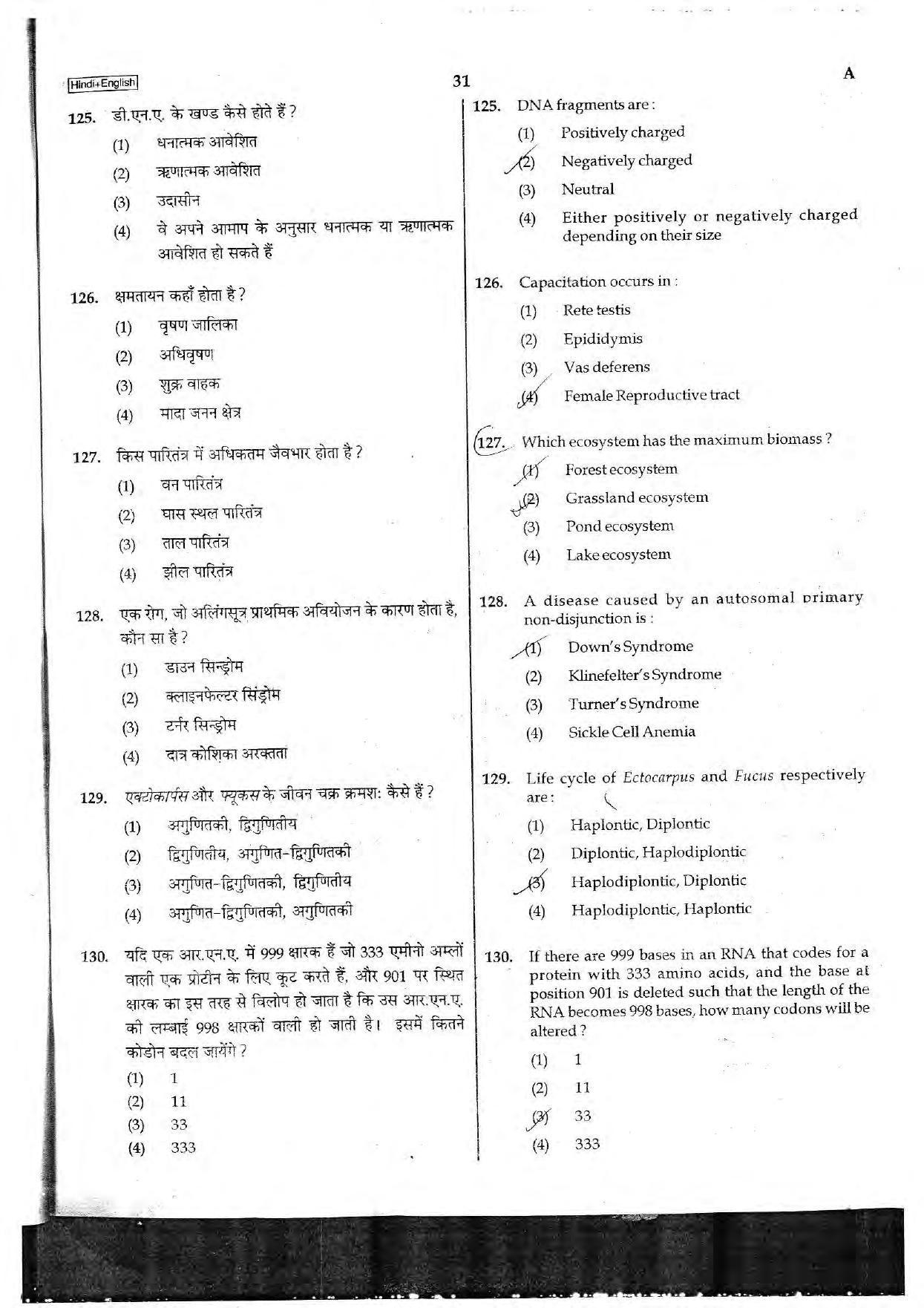 NEET Code A 2017 Question Paper - Page 31