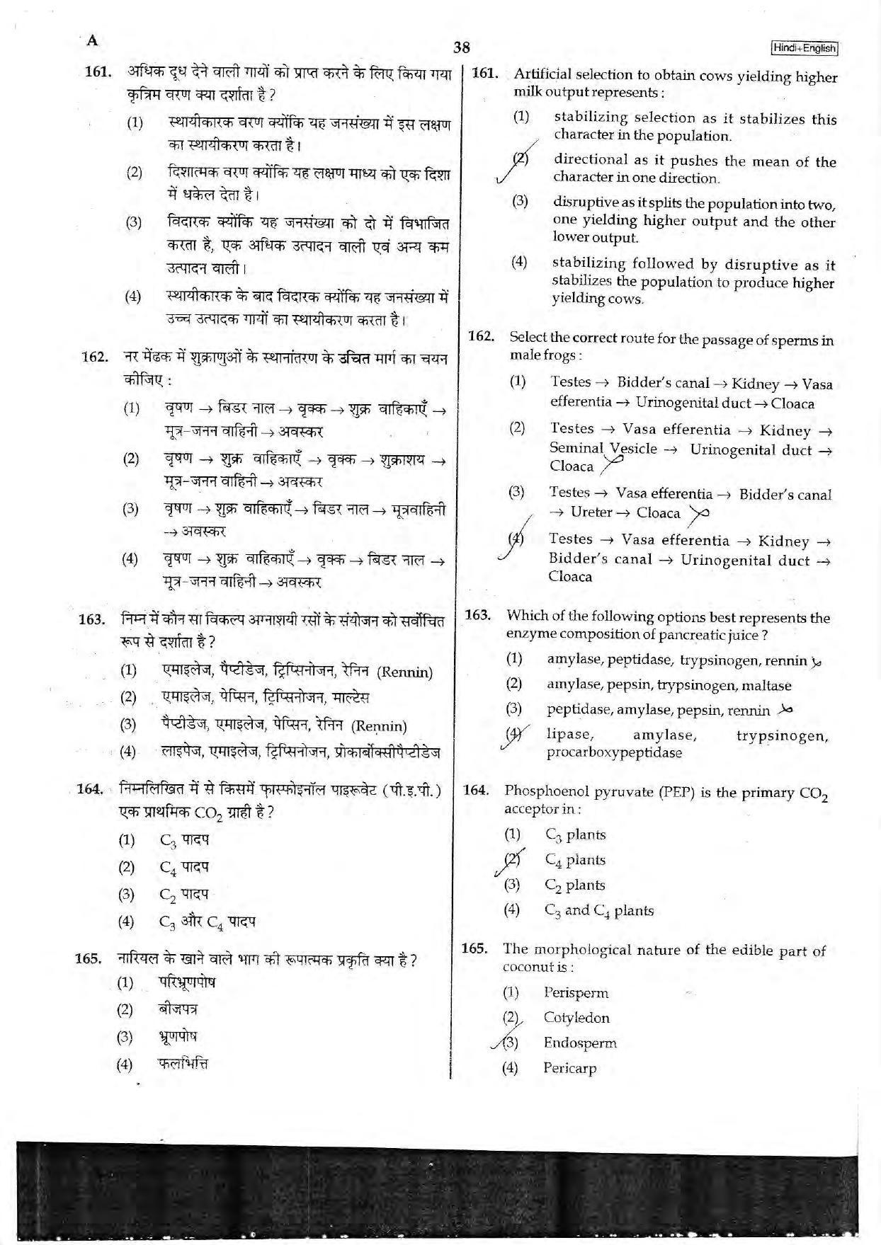NEET Code A 2017 Question Paper - Page 38