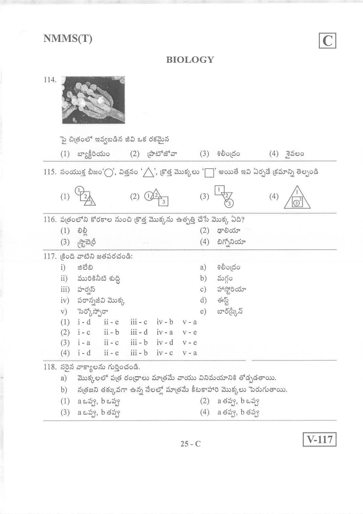 Telugu Medium Nov 2019 (Set C) Class 8 Andhra Pradesh NMMS Question Papers - Page 25