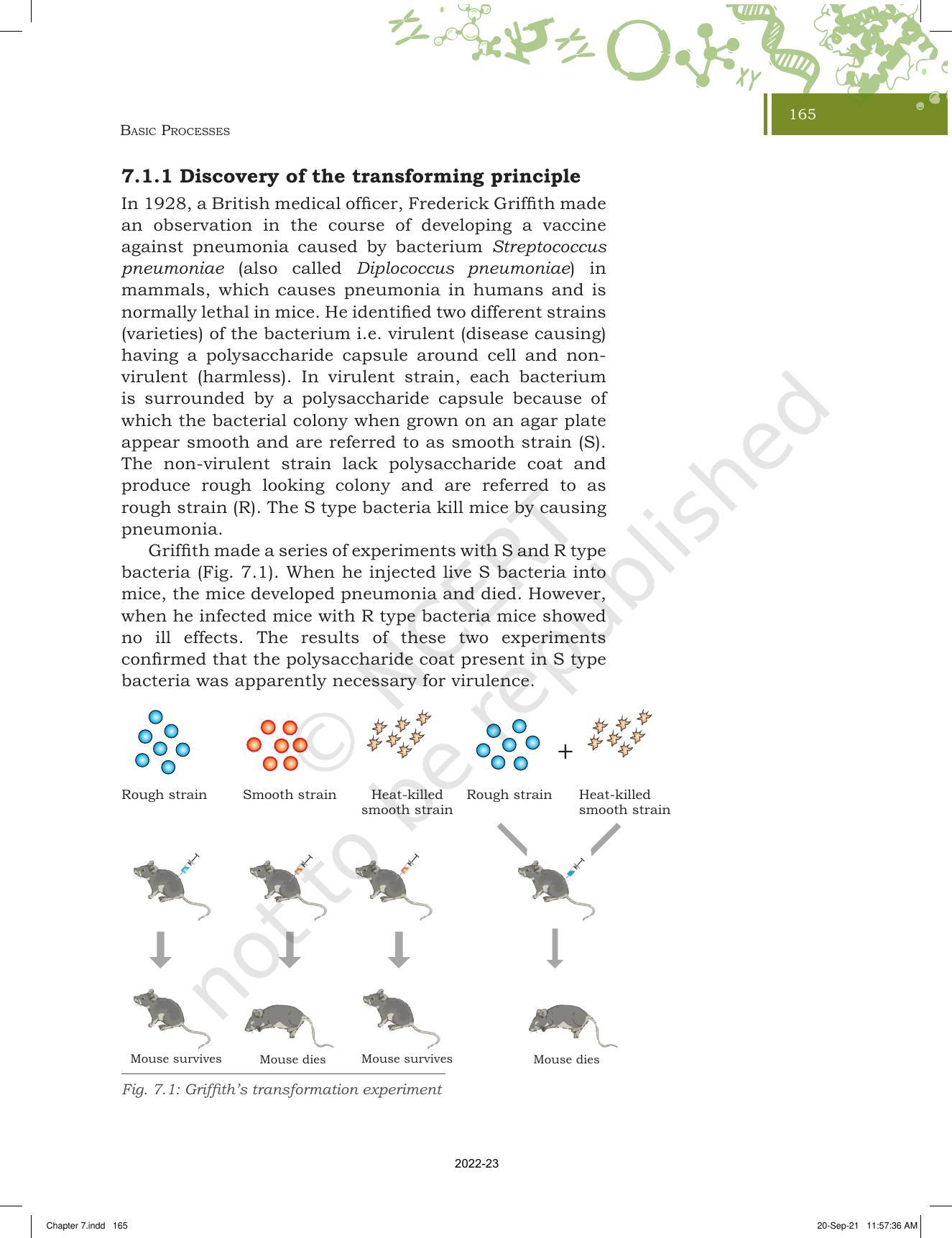 NCERT Book for Class 11 Biotechnology Chapter 7 Basic Processes - Page 2