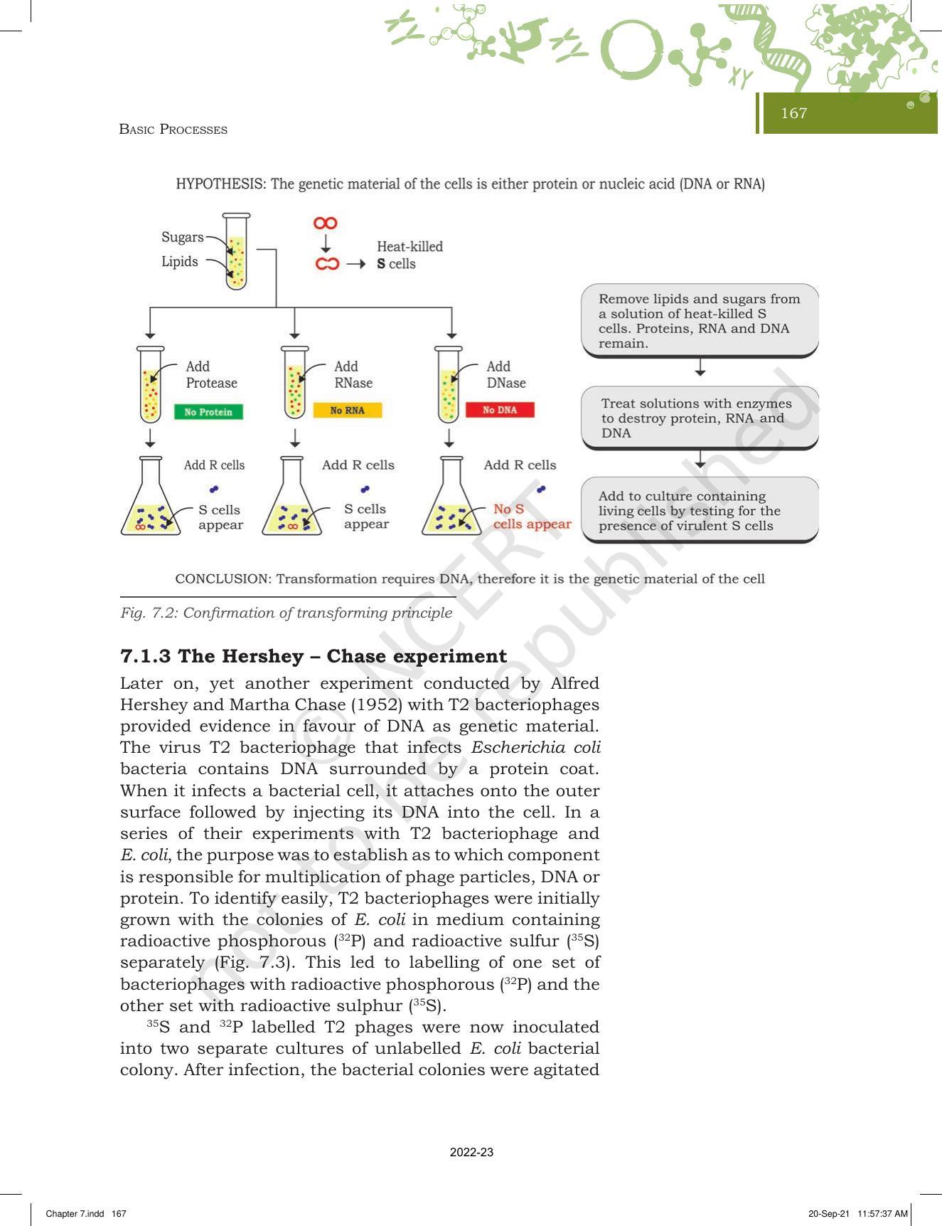 NCERT Book for Class 11 Biotechnology Chapter 7 Basic Processes - Page 4