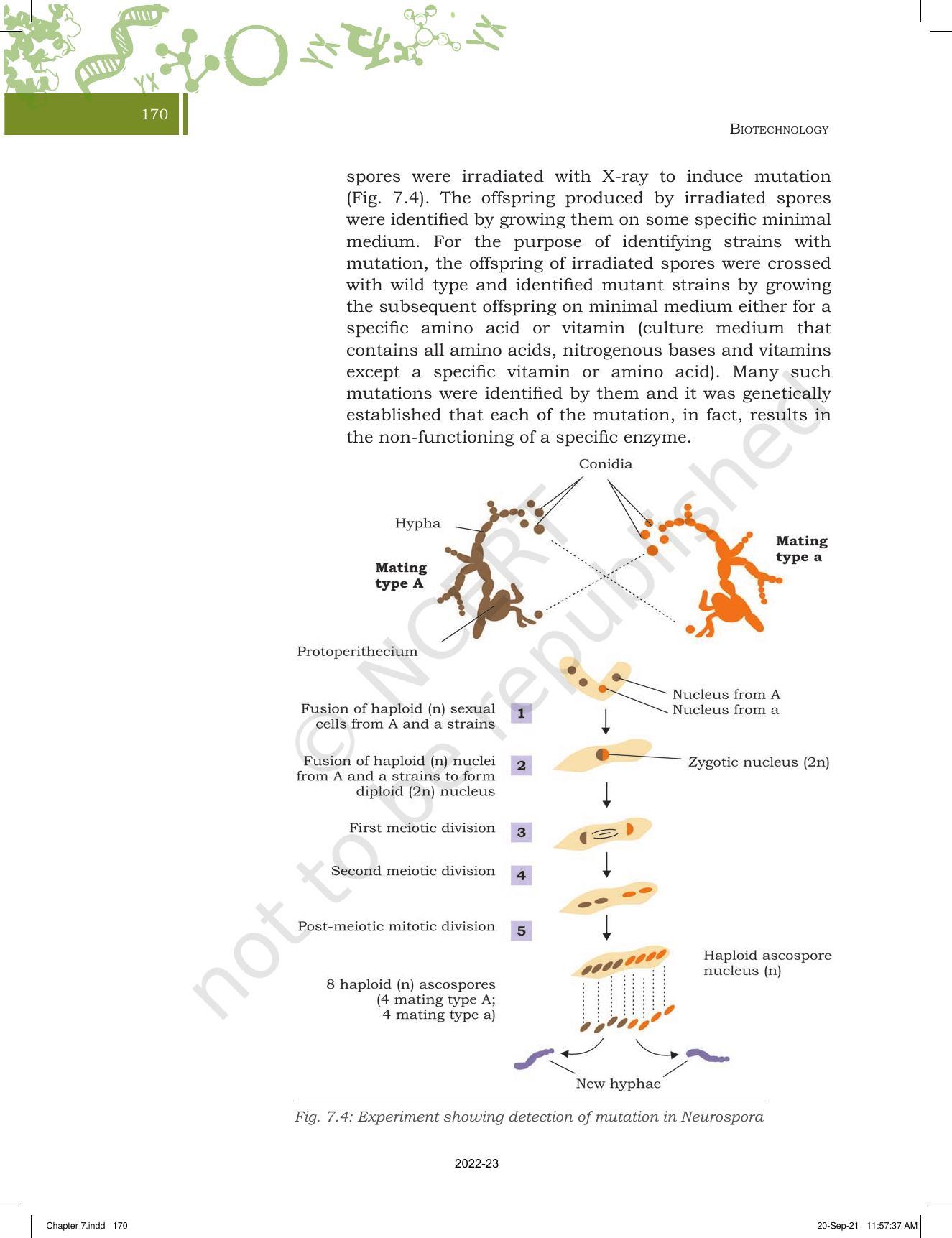NCERT Book for Class 11 Biotechnology Chapter 7 Basic Processes - Page 7