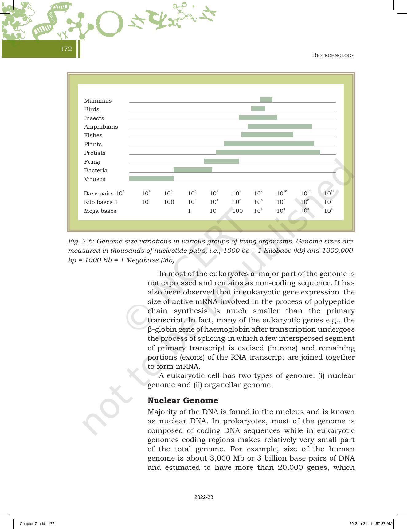 NCERT Book for Class 11 Biotechnology Chapter 7 Basic Processes - Page 9