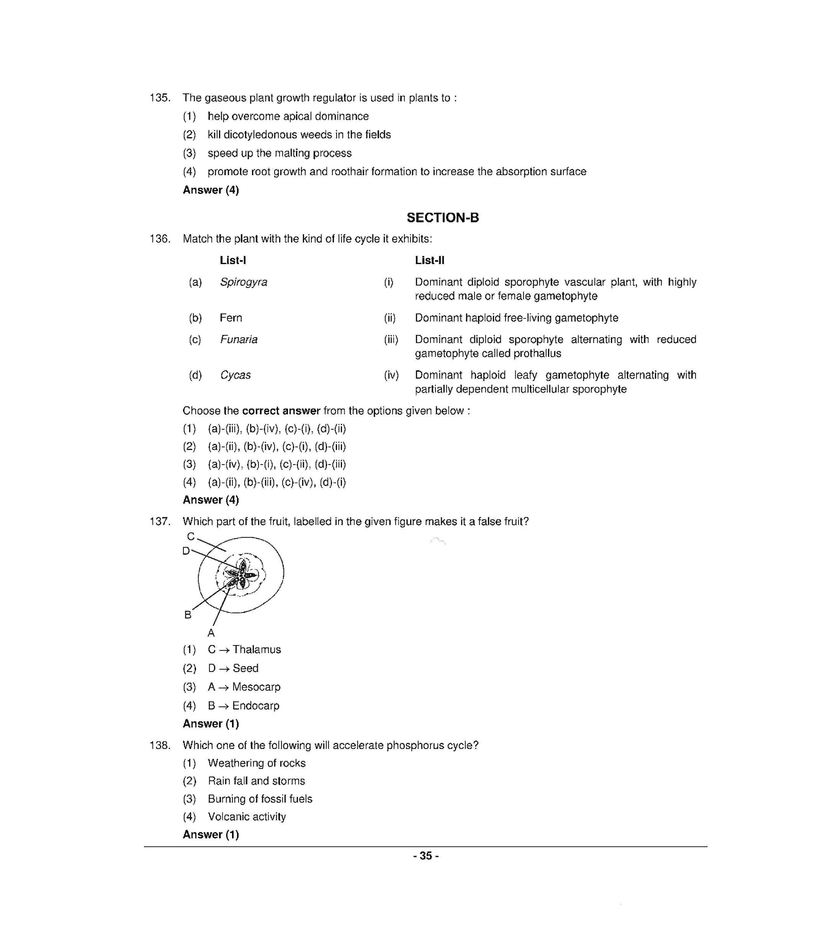 NEET S5 2021 Question Paper - Page 34