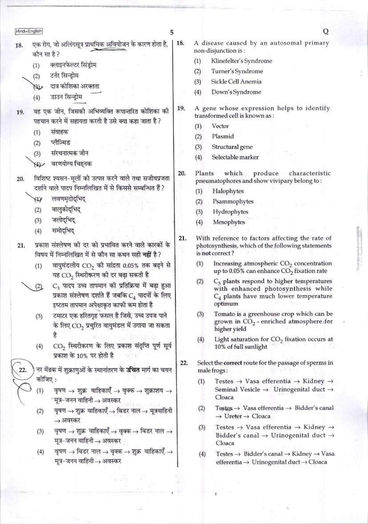 NEET Code Q 2017 Question Paper - Page 4