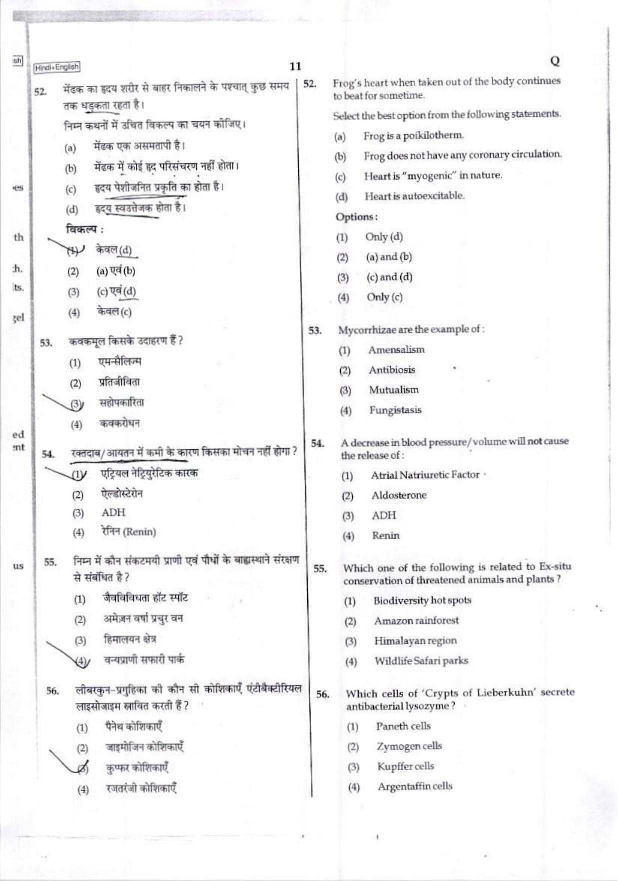 NEET Code Q 2017 Question Paper - Page 10