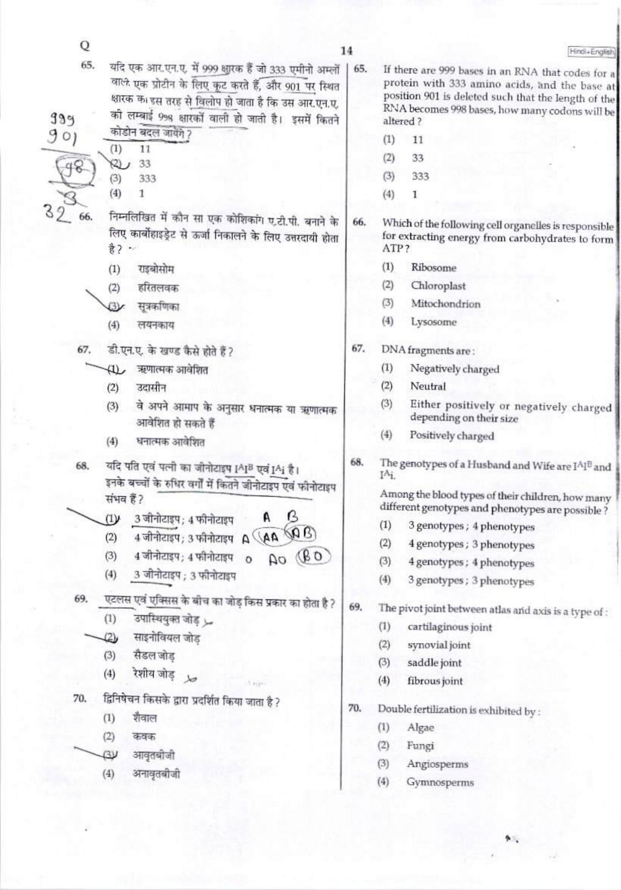 NEET Code Q 2017 Question Paper - Page 13