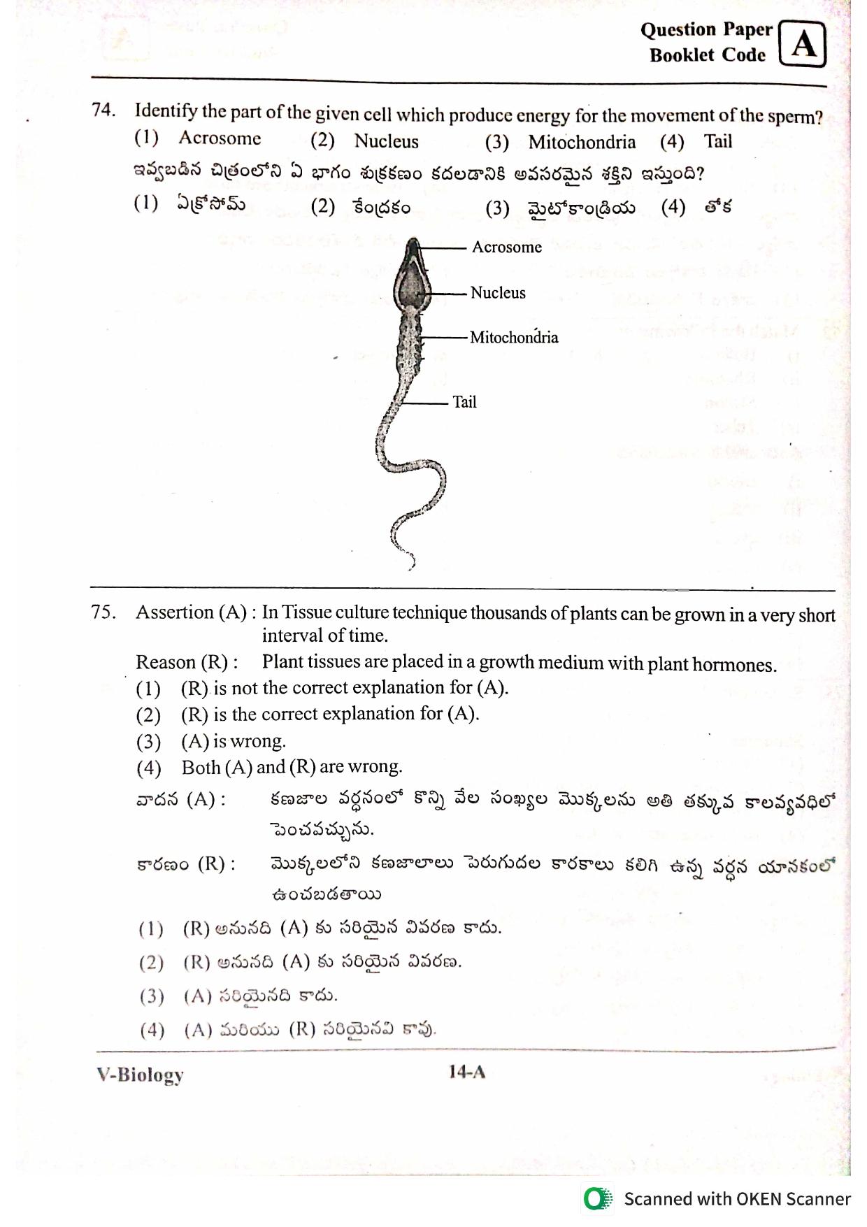 BiPC/ CGT English/ Telugu Medium 2022 - Page 14