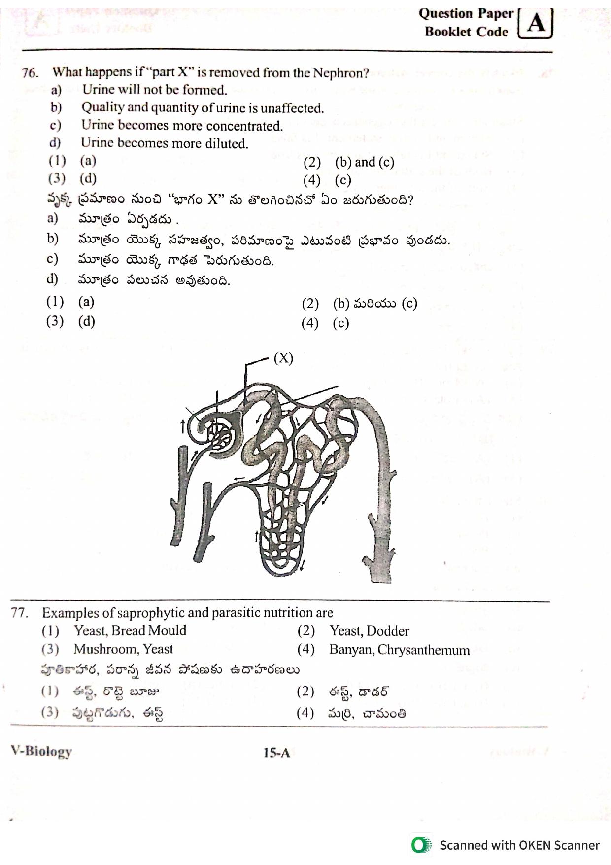 BiPC/ CGT English/ Telugu Medium 2022 - Page 15