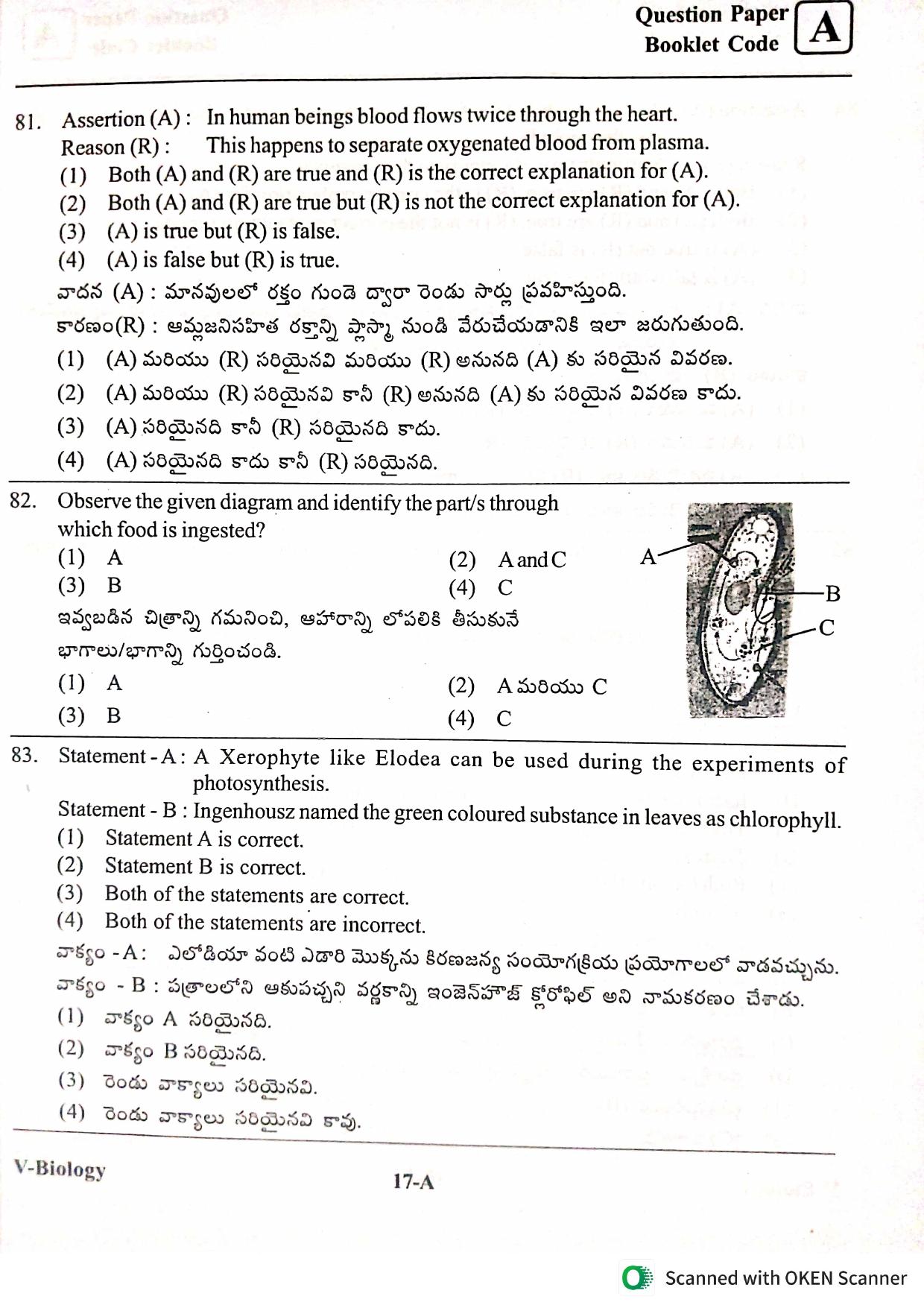 BiPC/ CGT English/ Telugu Medium 2022 - Page 17