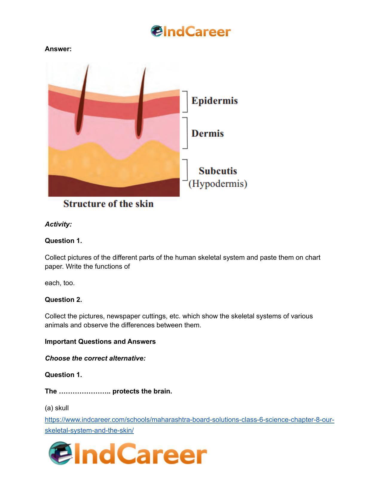Maharashtra Board Solutions Class 6-Science: Chapter 8- Our Skeletal System and the Skin - Page 9