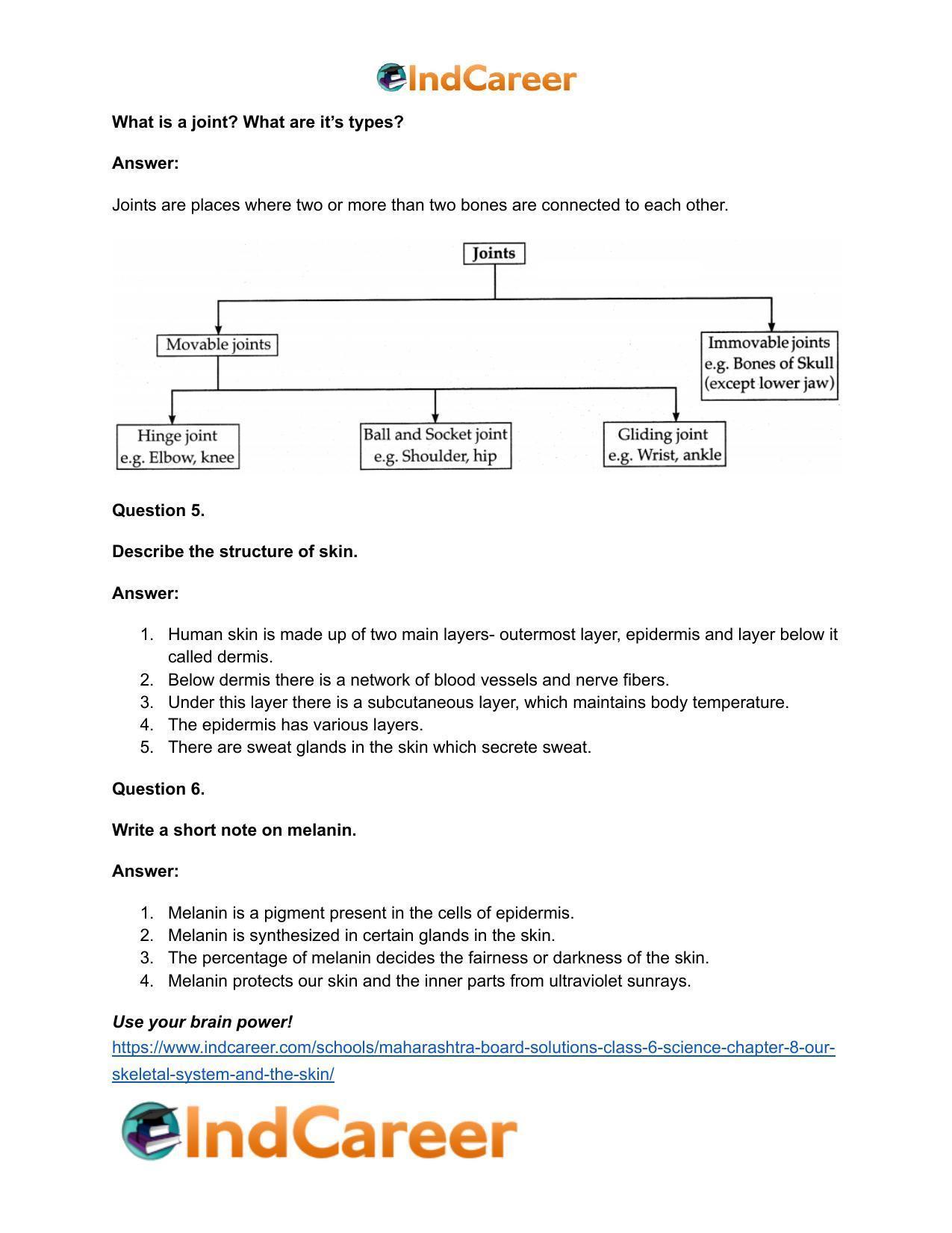 Maharashtra Board Solutions Class 6-Science: Chapter 8- Our Skeletal System and the Skin - Page 18