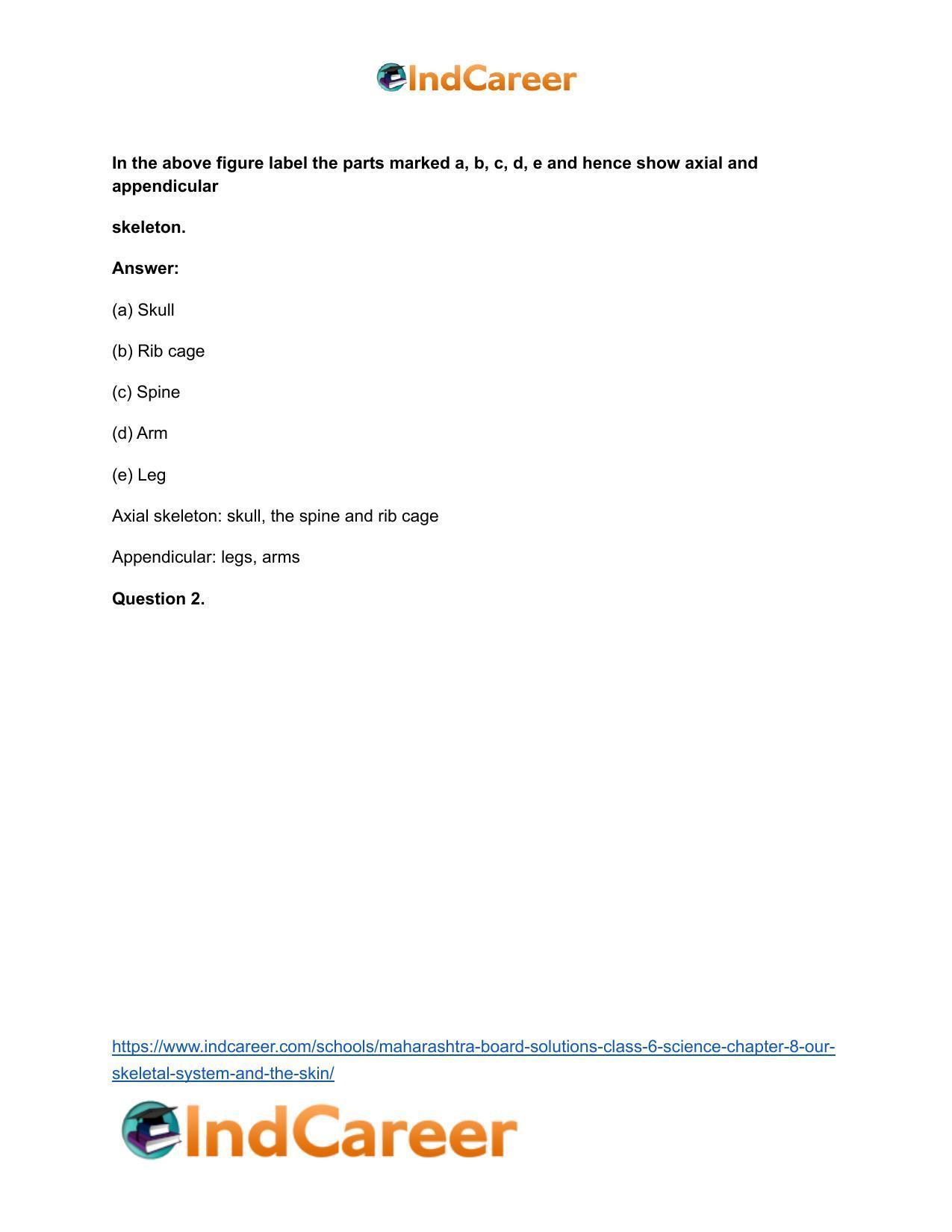 Maharashtra Board Solutions Class 6-Science: Chapter 8- Our Skeletal System and the Skin - Page 23