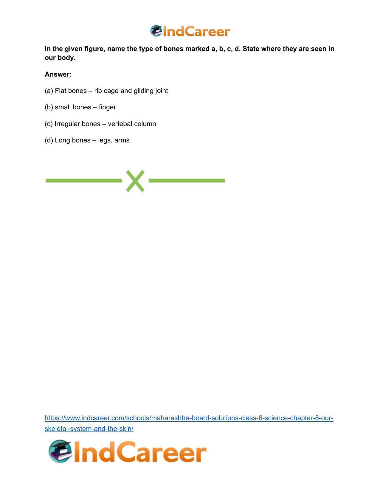 Maharashtra Board Solutions Class 6-Science: Chapter 8- Our Skeletal System and the Skin - Page 25